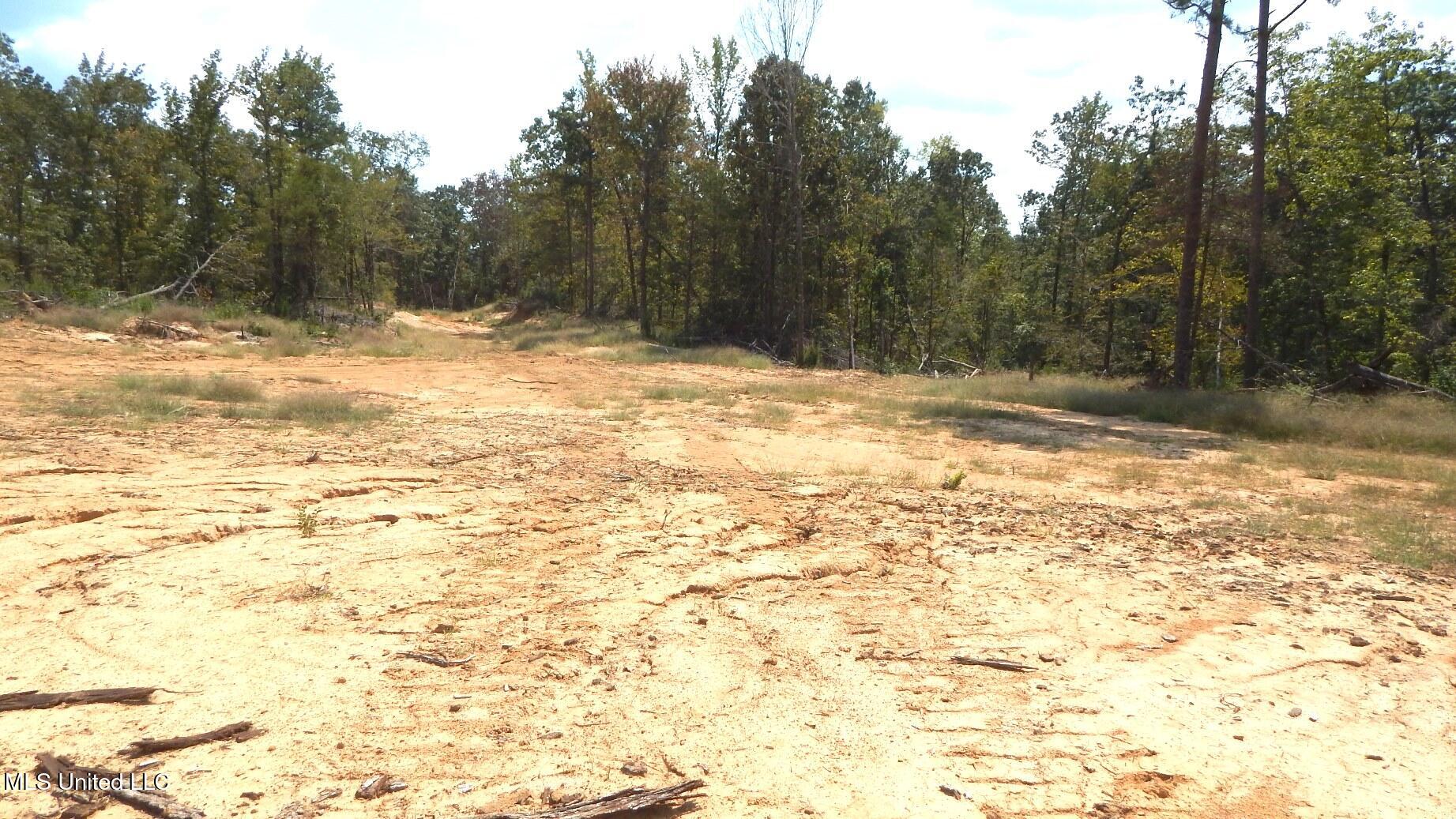 2380 213 Country Road Property Photo 33