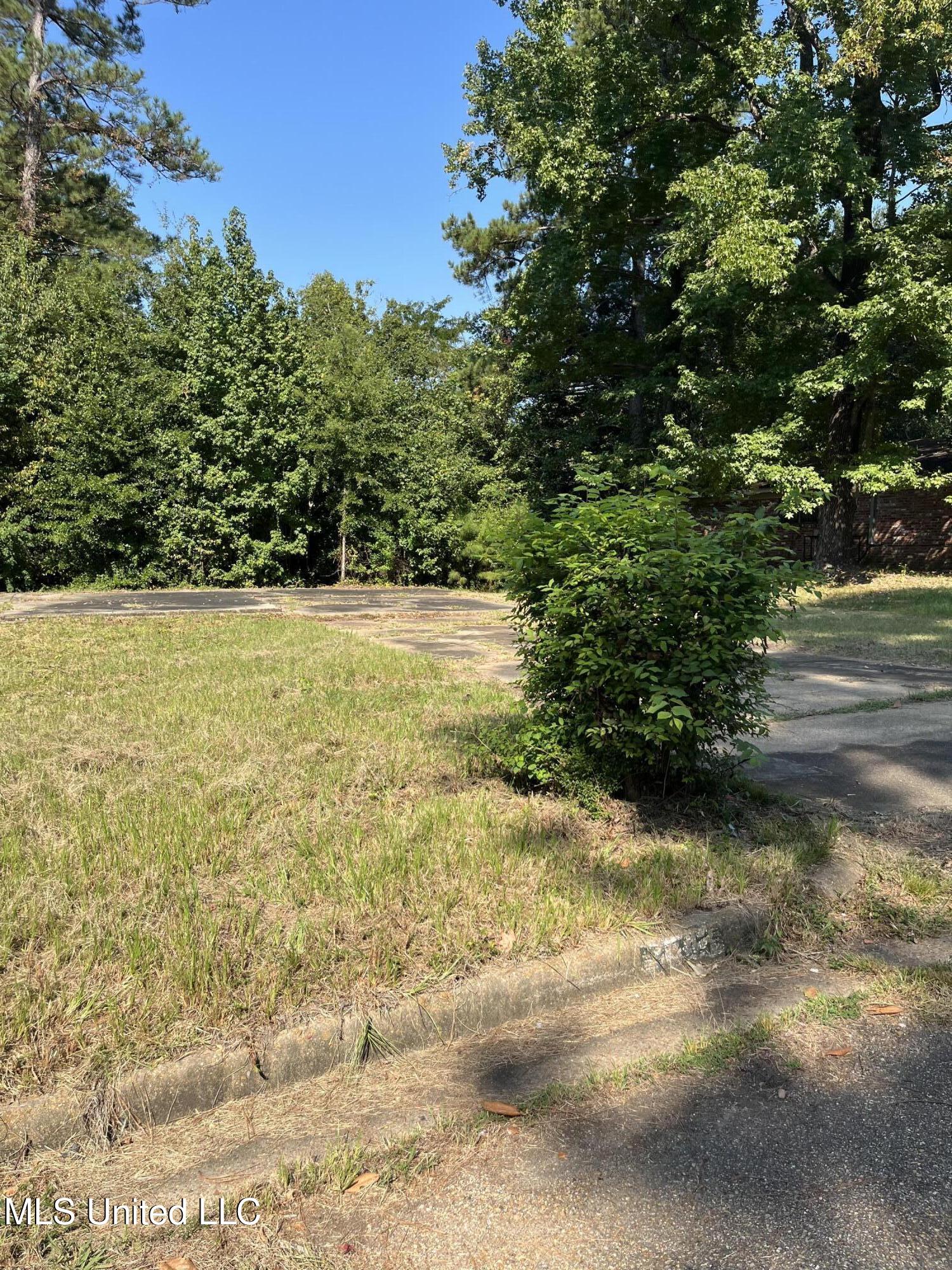 Scanlon Drive Property Photo 3