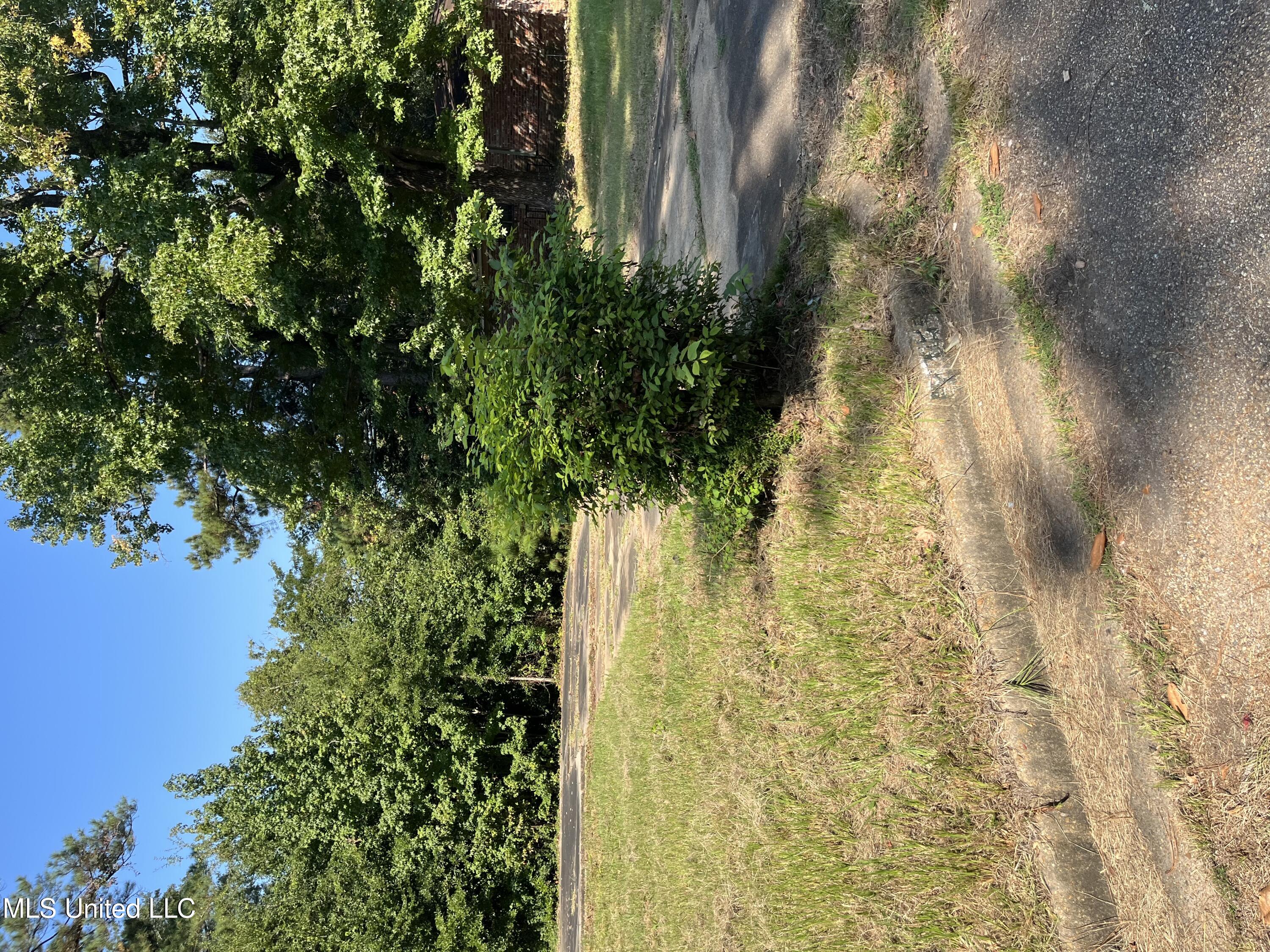 Scanlon Drive Property Photo 4