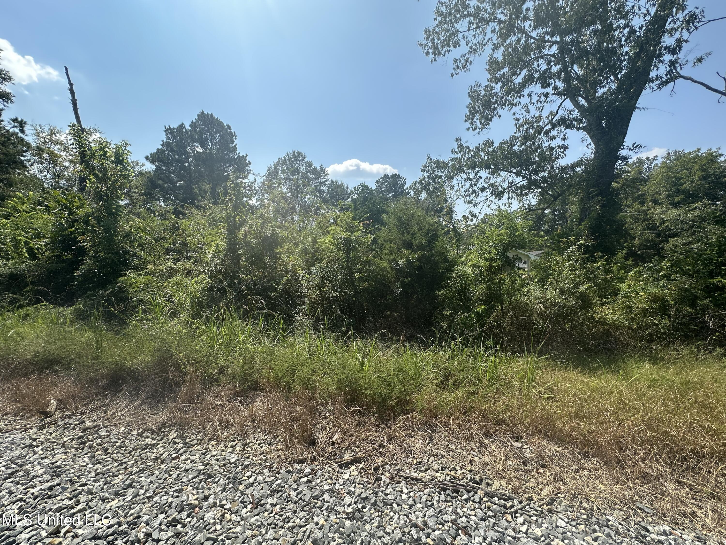 0 Clover Lane Property Photo 1