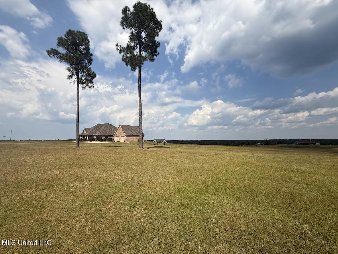 74 The Hills Drive Property Photo 45