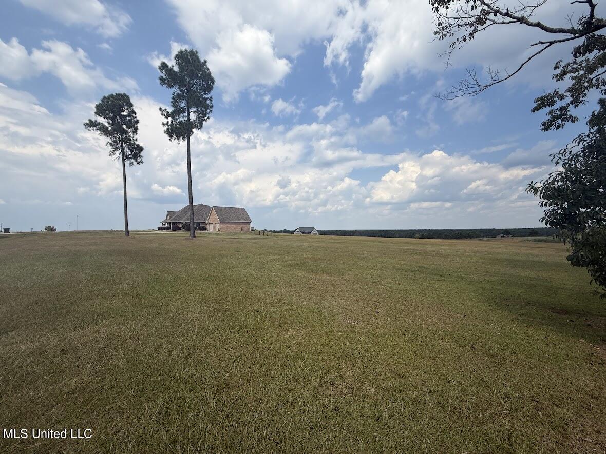 74 The Hills Drive Property Photo 46