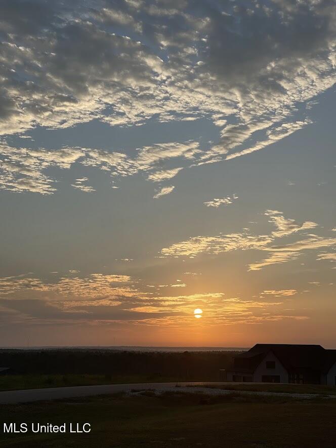 74 The Hills Drive Property Photo 61