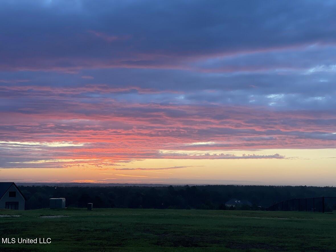 74 The Hills Drive Property Photo 62