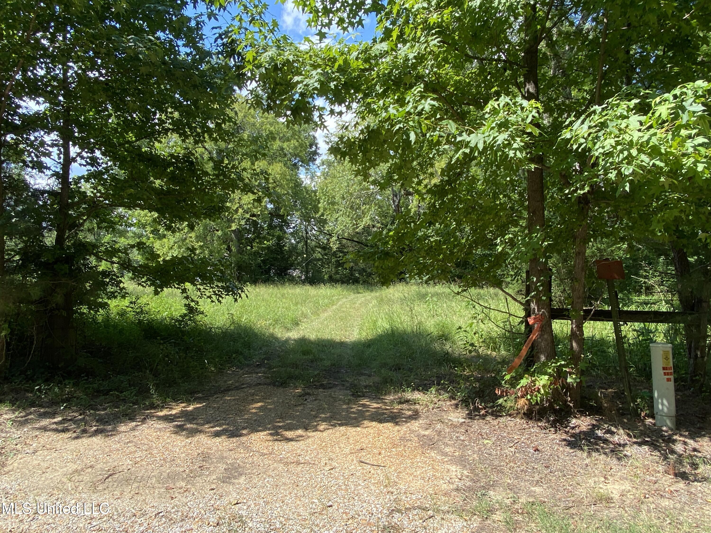 0 Skating Rink Road Property Photo 1