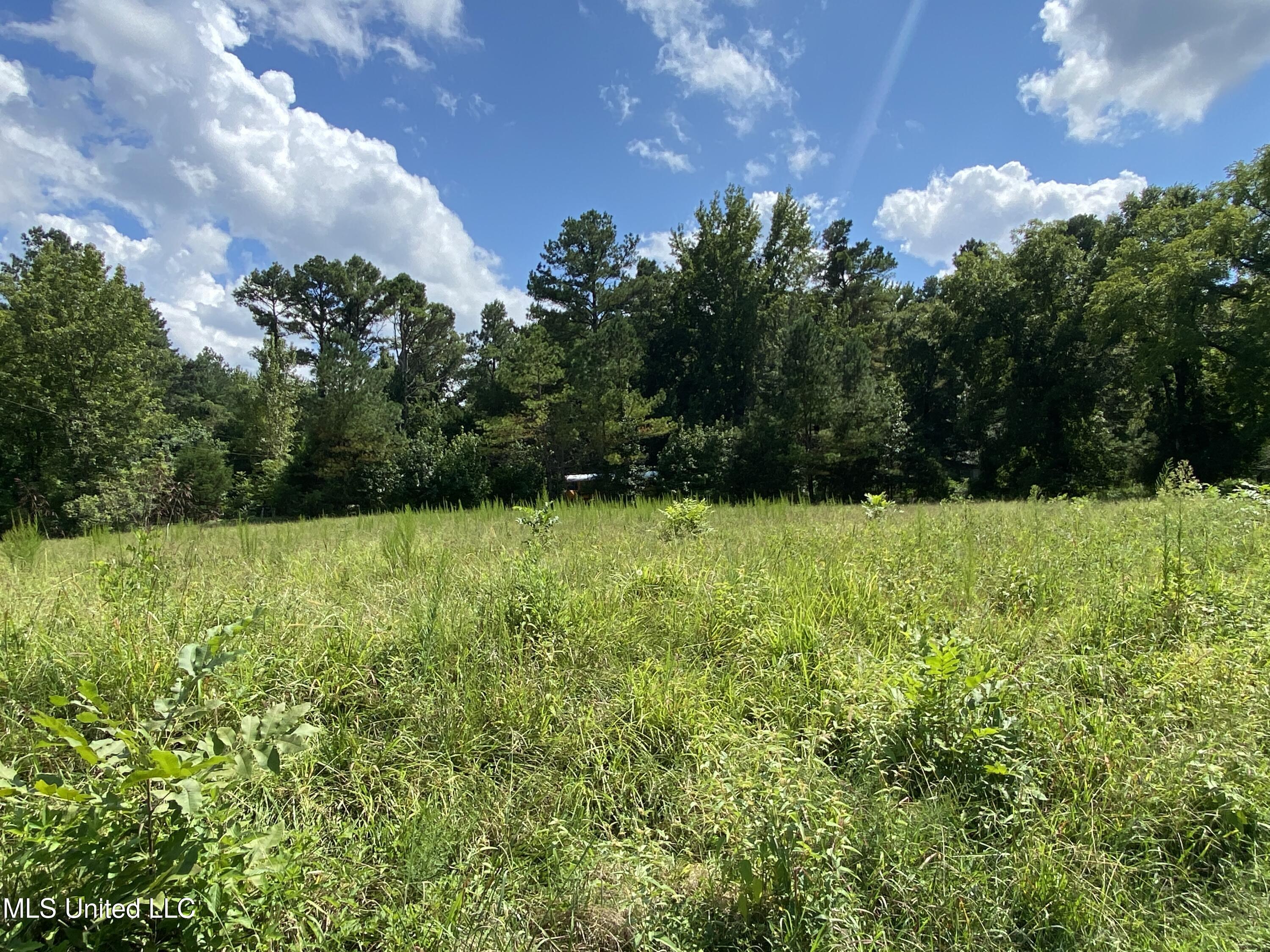 0 Skating Rink Road Property Photo 15