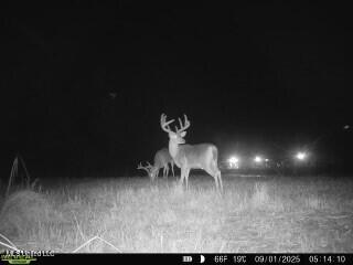 0 Warehouse Road Property Photo 4