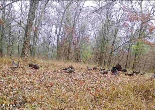 0 Warehouse Road Property Photo 6