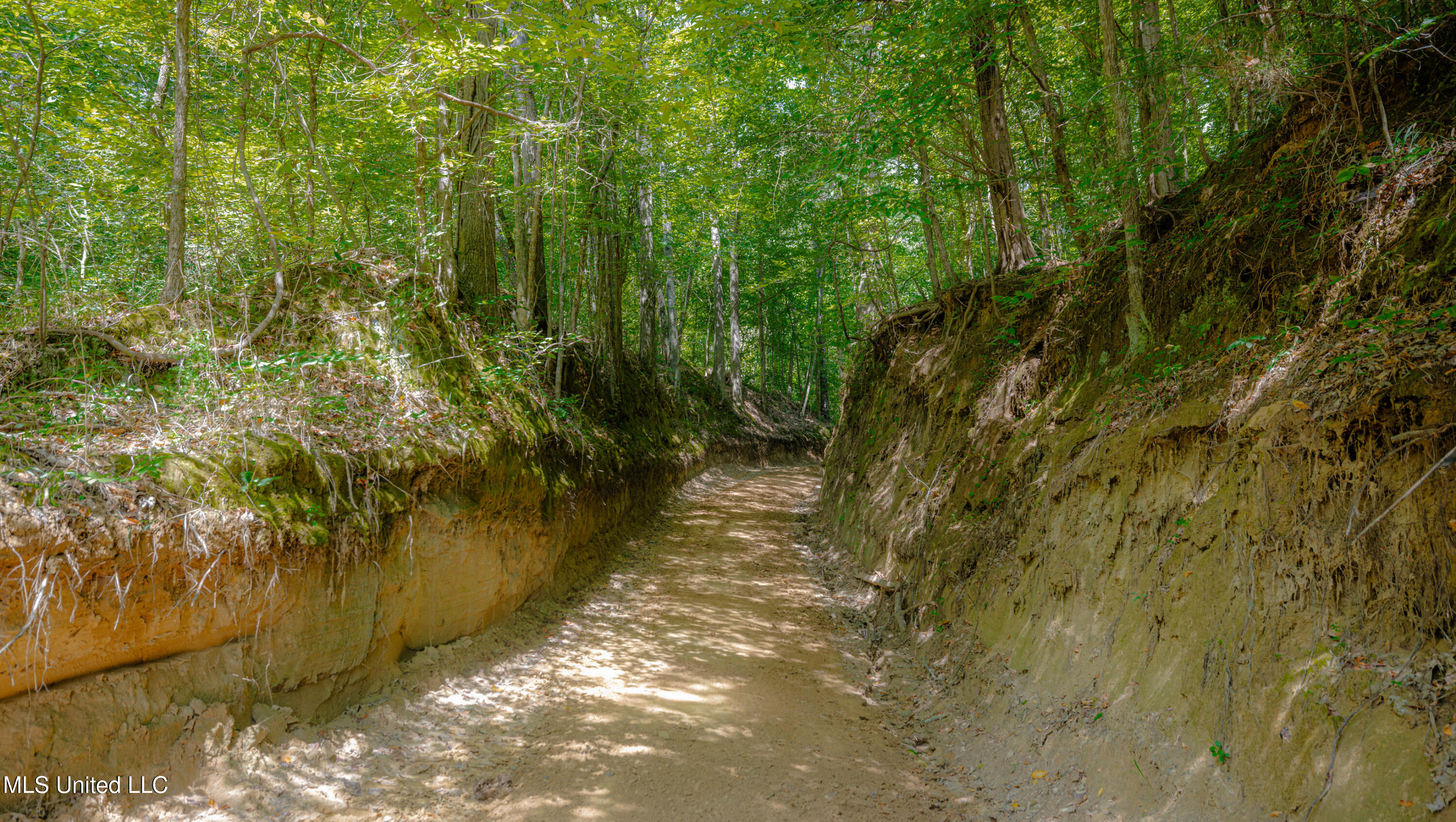 0 Warehouse Road Property Photo 8