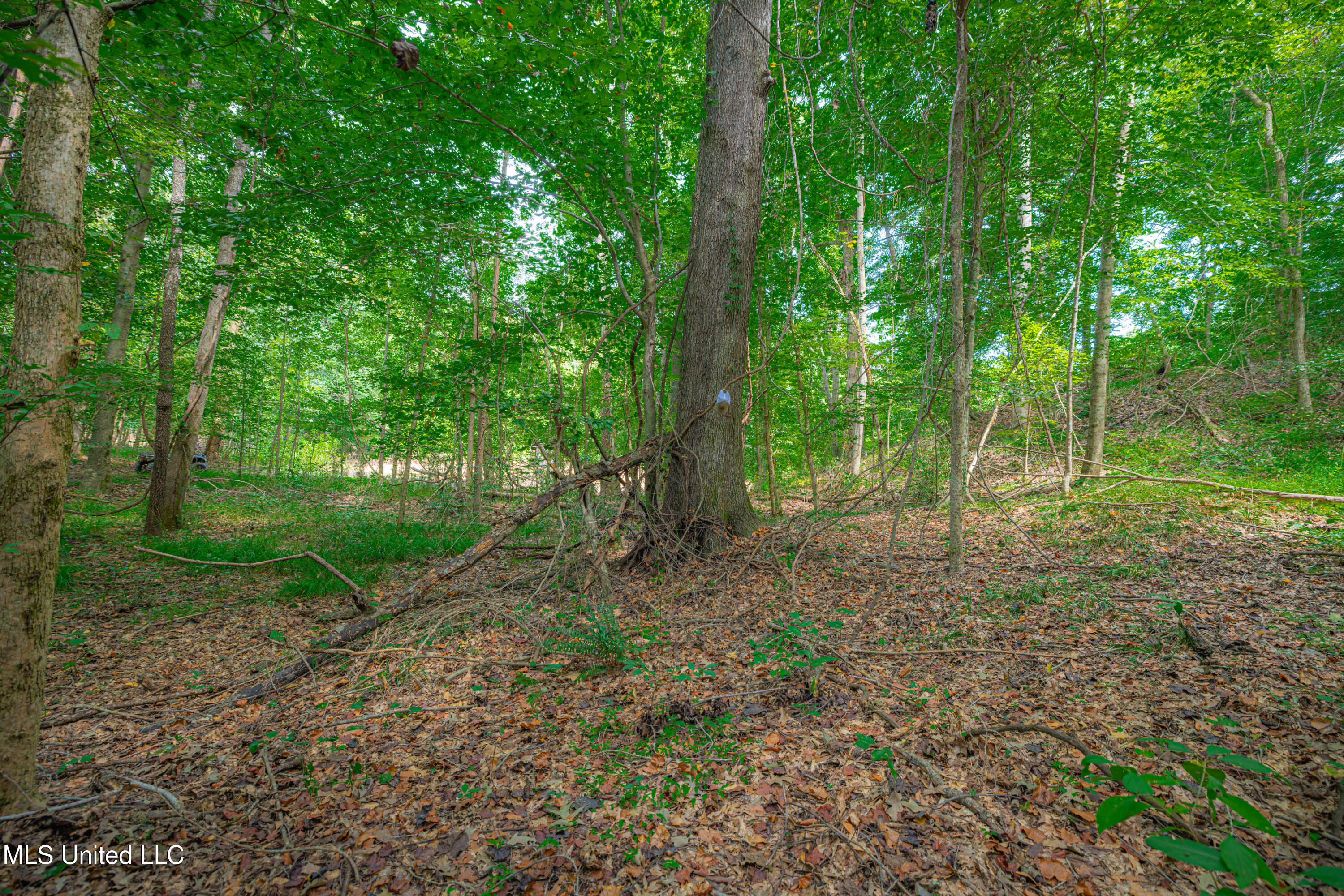 0 Warehouse Road Property Photo 9