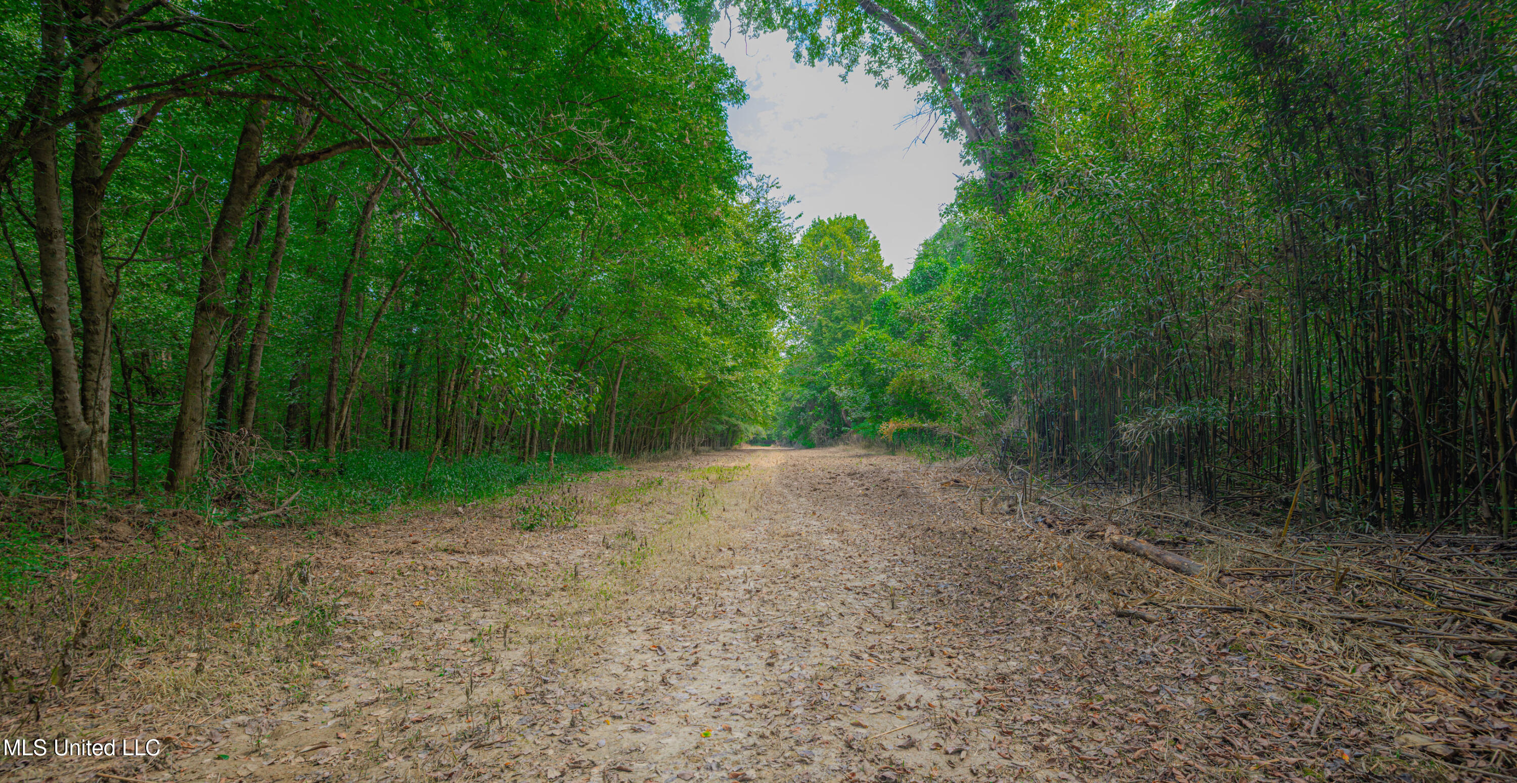 0 Warehouse Road Property Photo 13