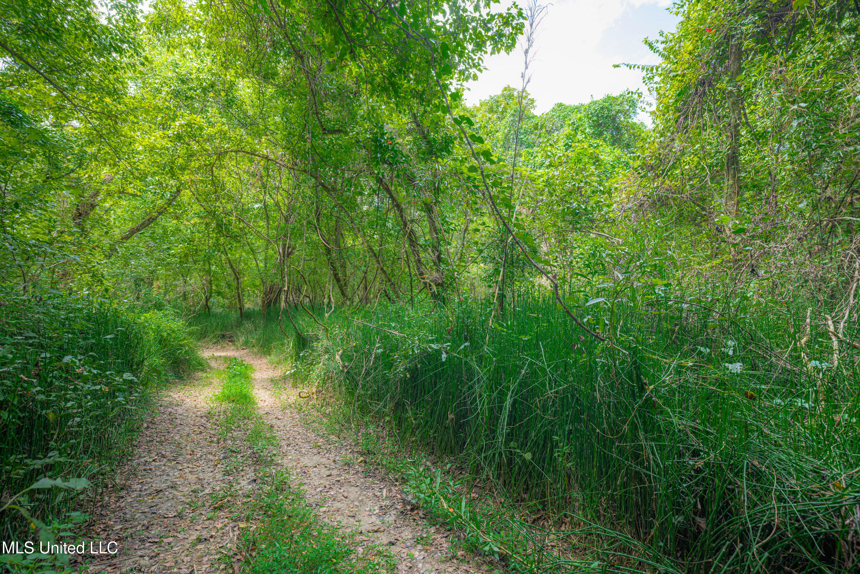 0 Warehouse Road Property Photo 14