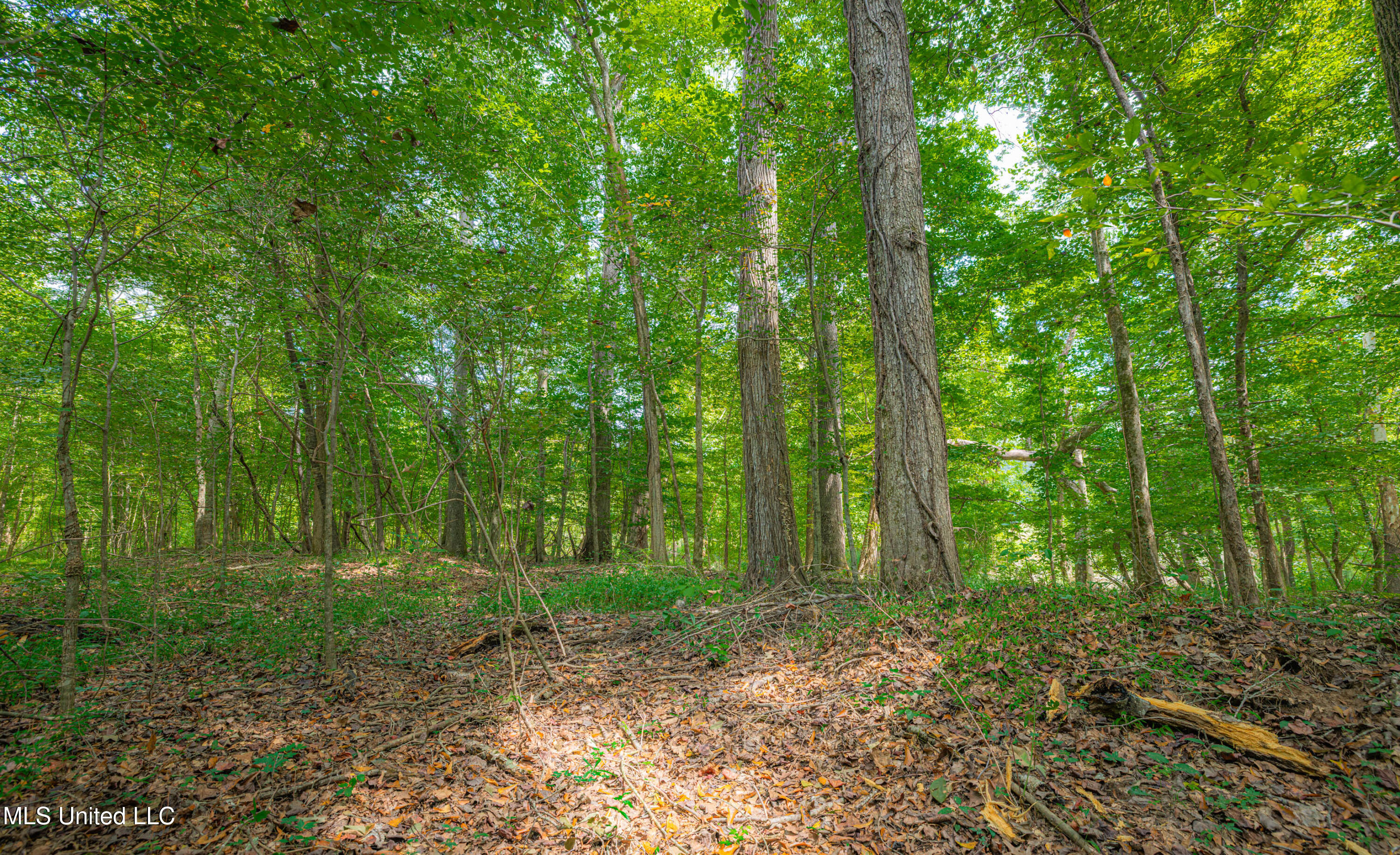 0 Warehouse Road Property Photo 15