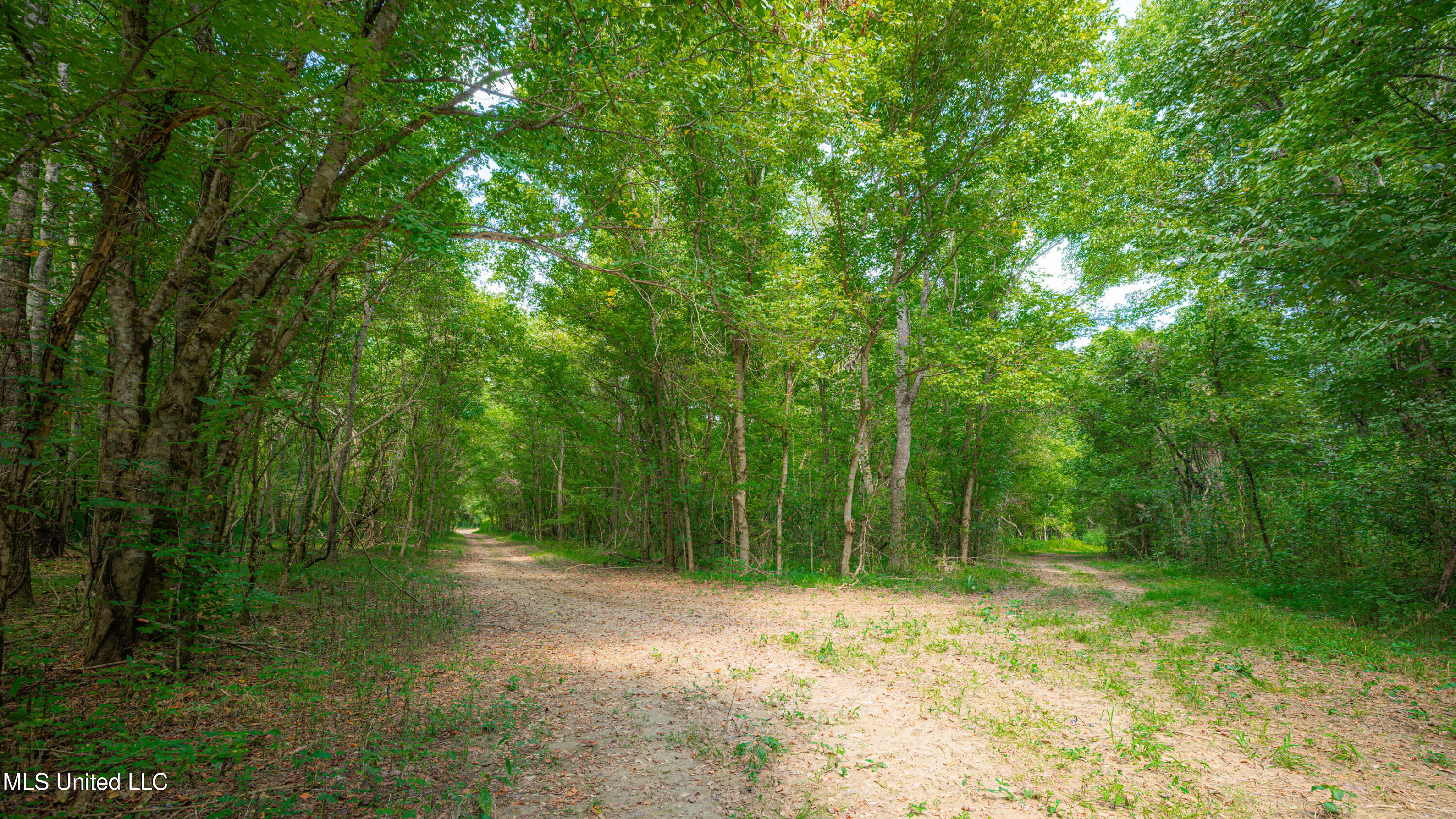 0 Warehouse Road Property Photo 17