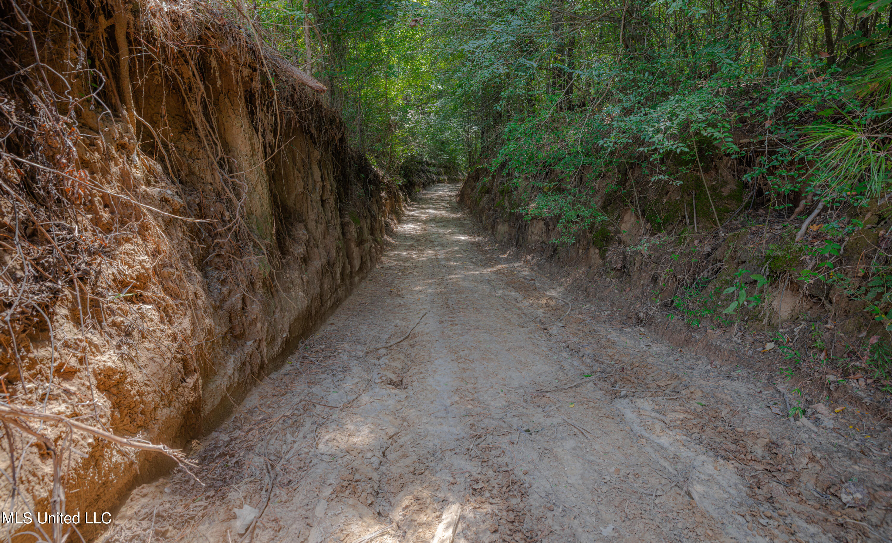 0 Warehouse Road Property Photo 20