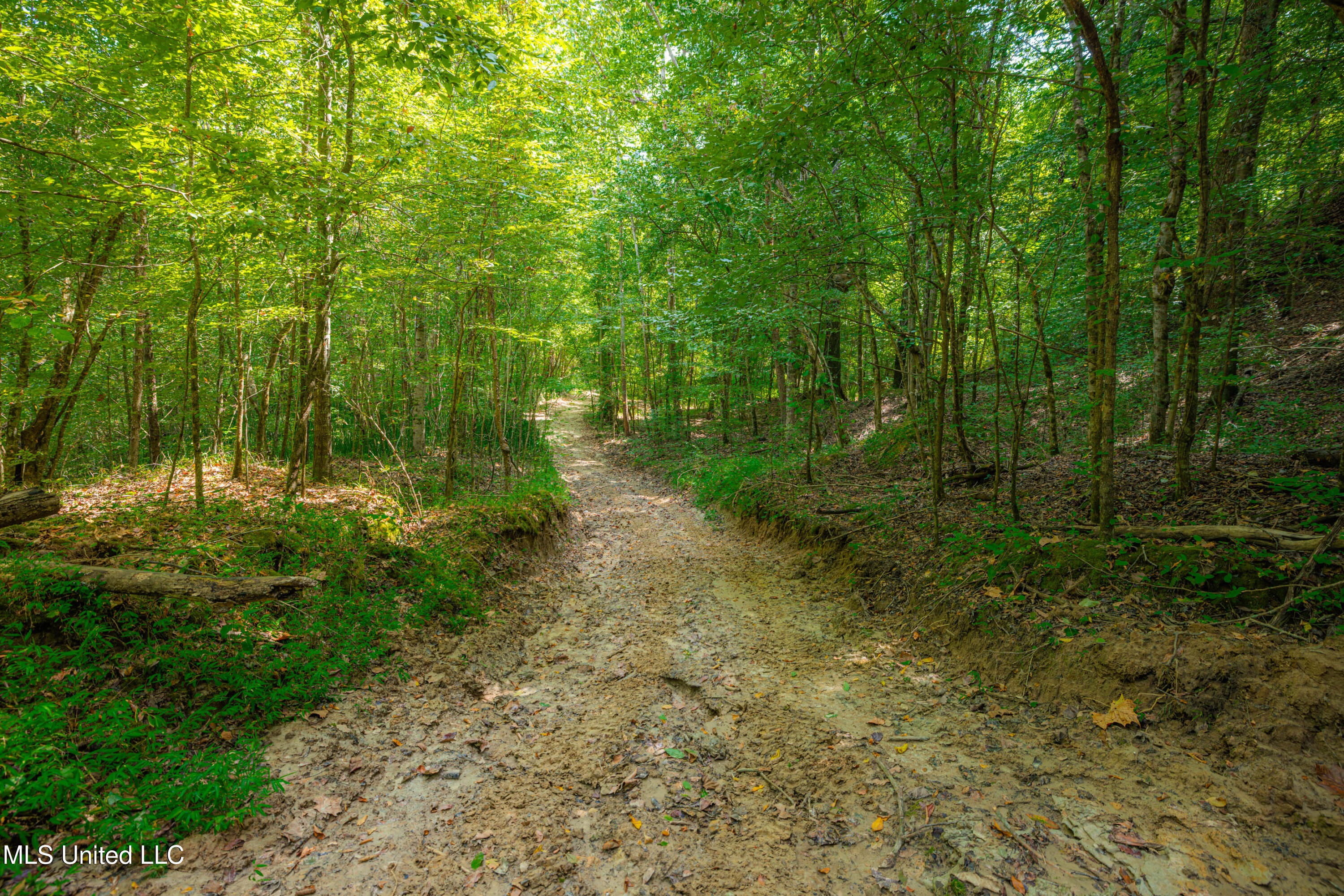 0 Warehouse Road Property Photo 21