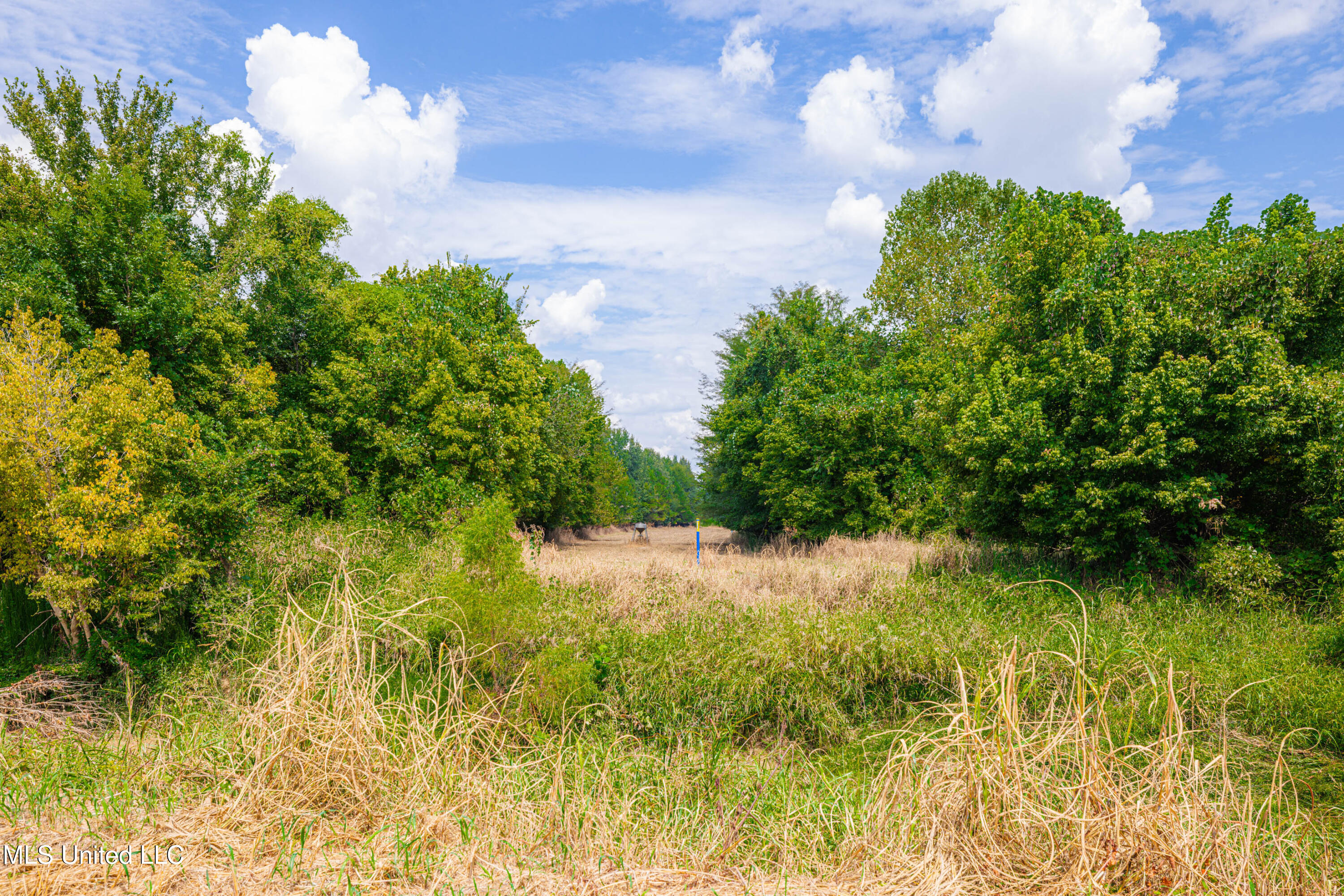 0 Warehouse Road Property Photo 32