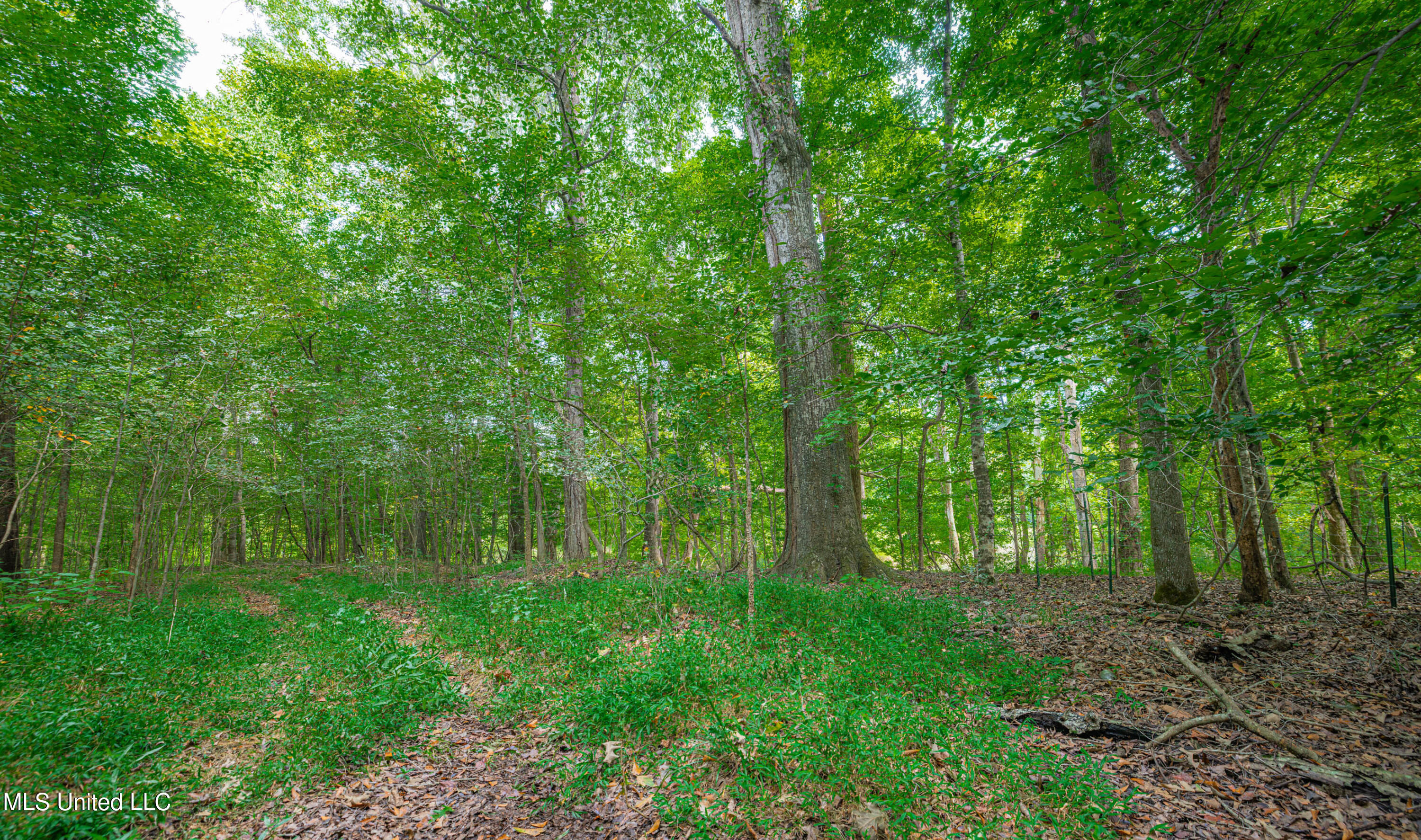 0 Warehouse Road Property Photo 33