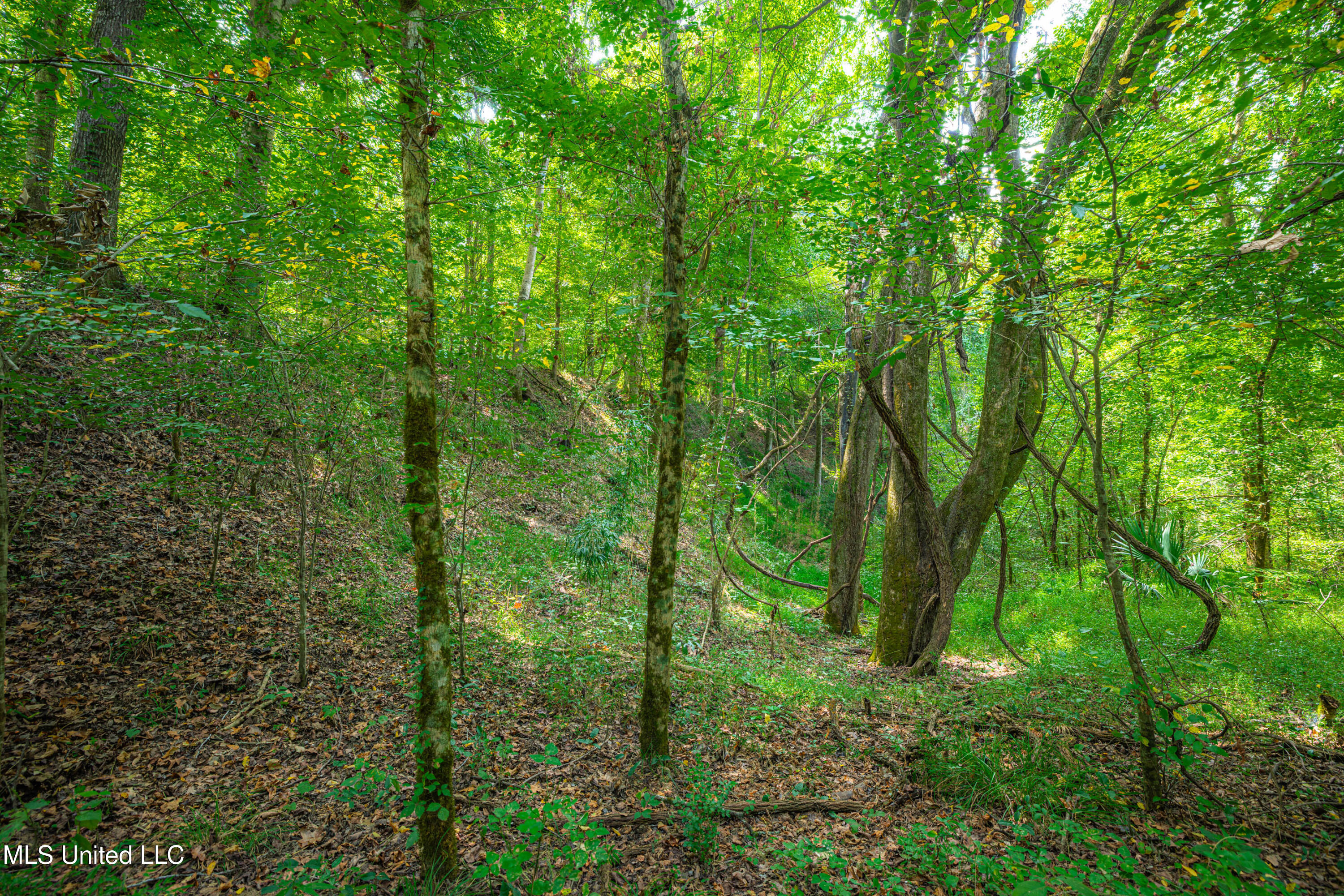 0 Warehouse Road Property Photo 34