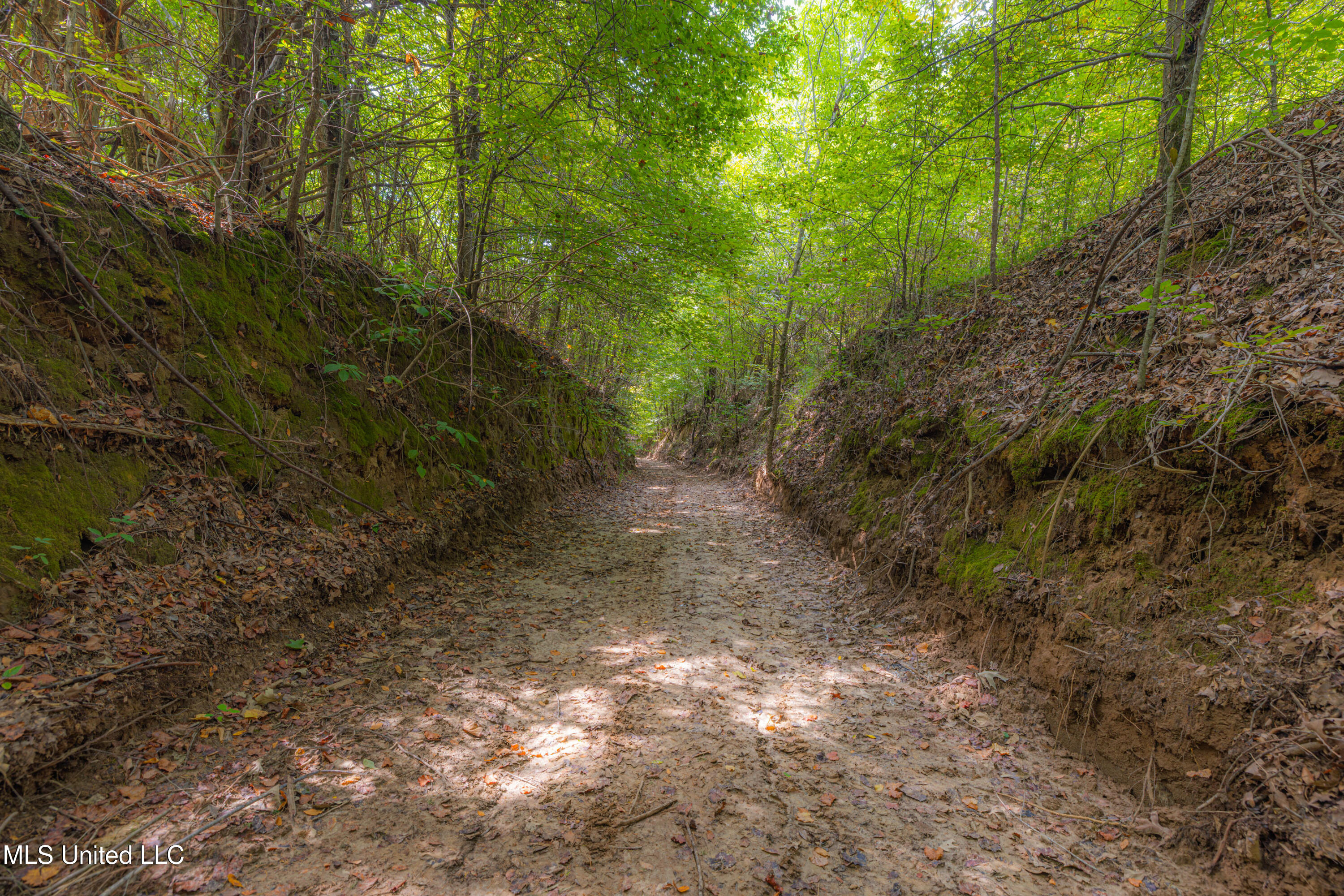 0 Warehouse Road Property Photo 35