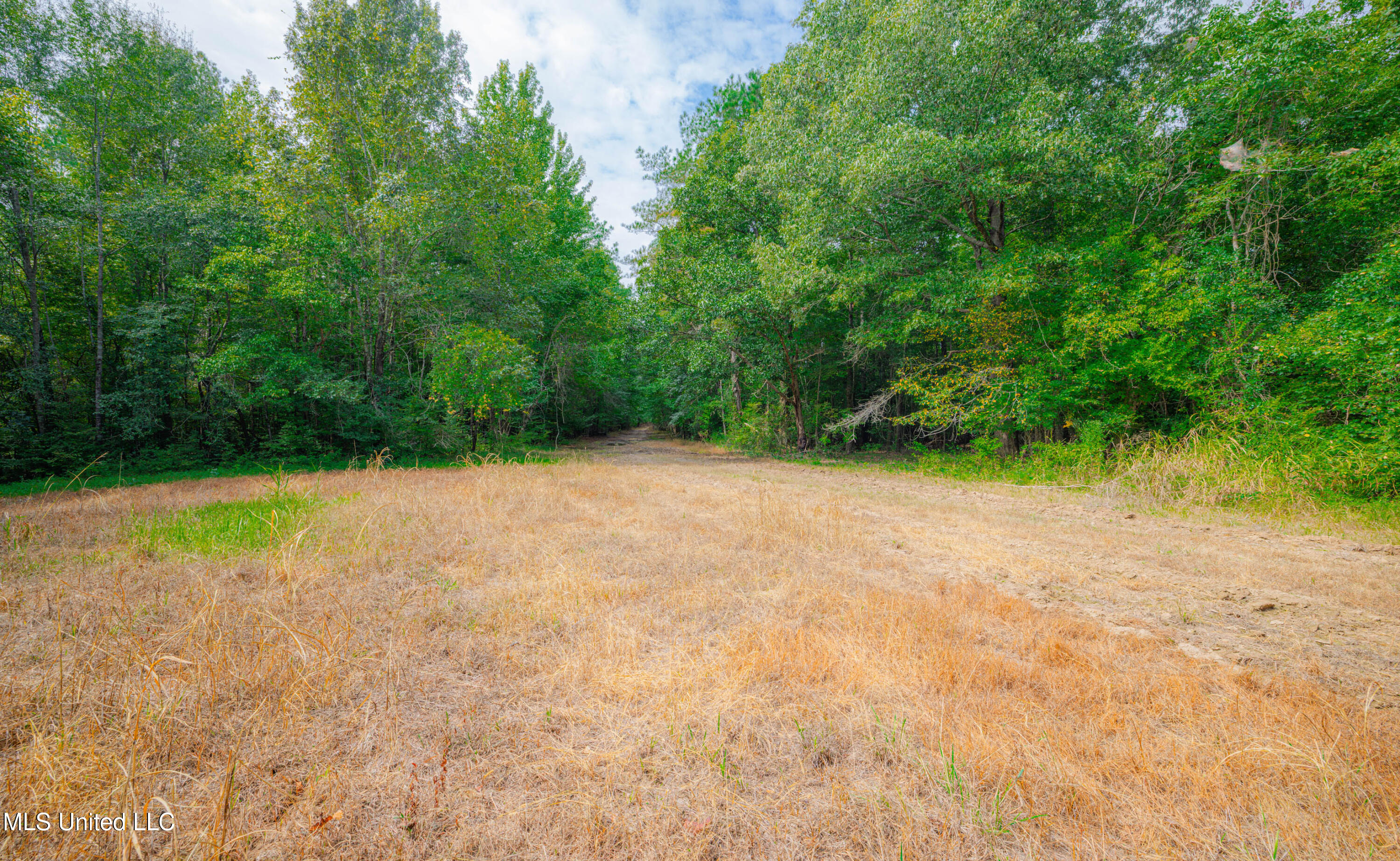 0 Warehouse Road Property Photo 36