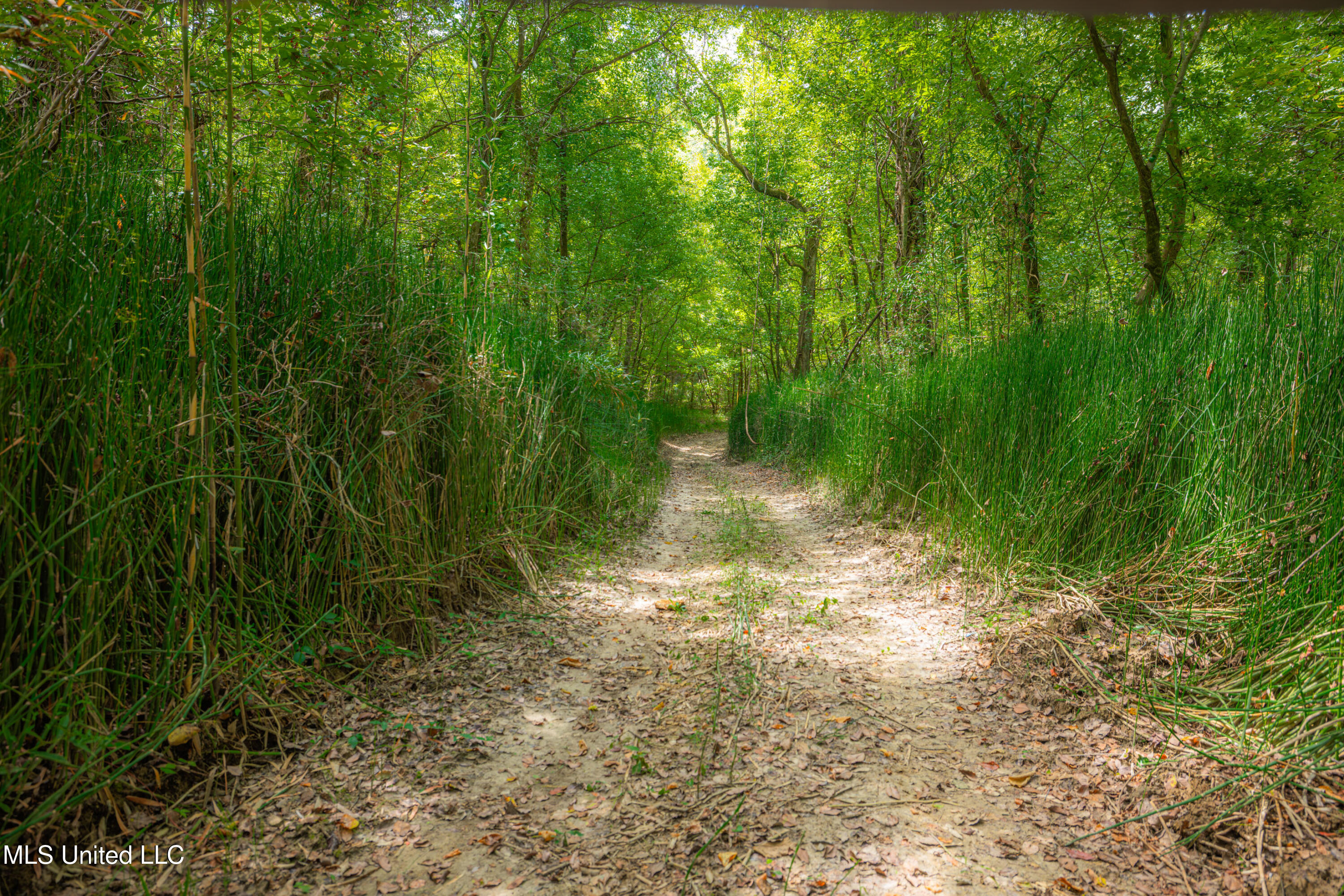 0 Warehouse Road Property Photo 37