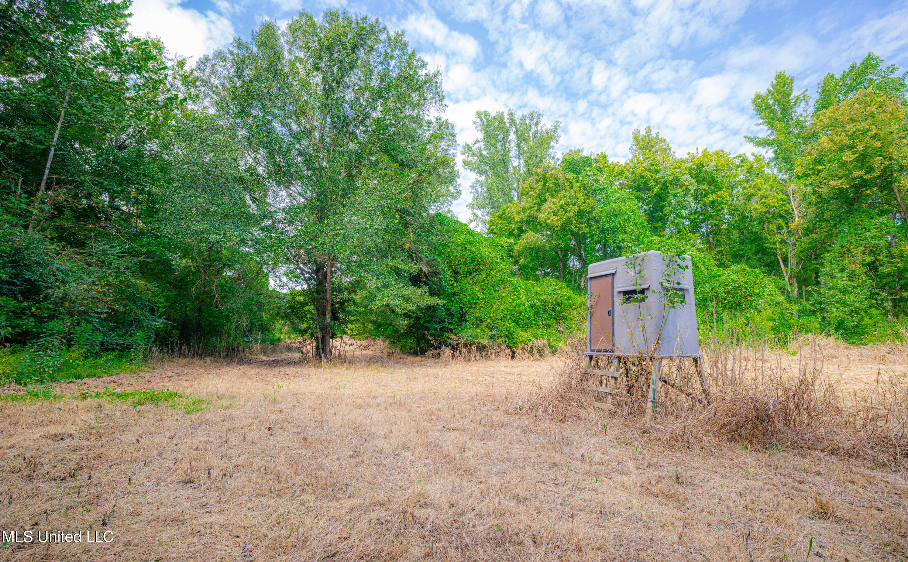 0 Warehouse Road Property Photo 38