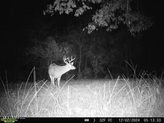 0 Warehouse Road Property Photo 39