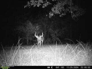 0 Warehouse Road Property Photo 40