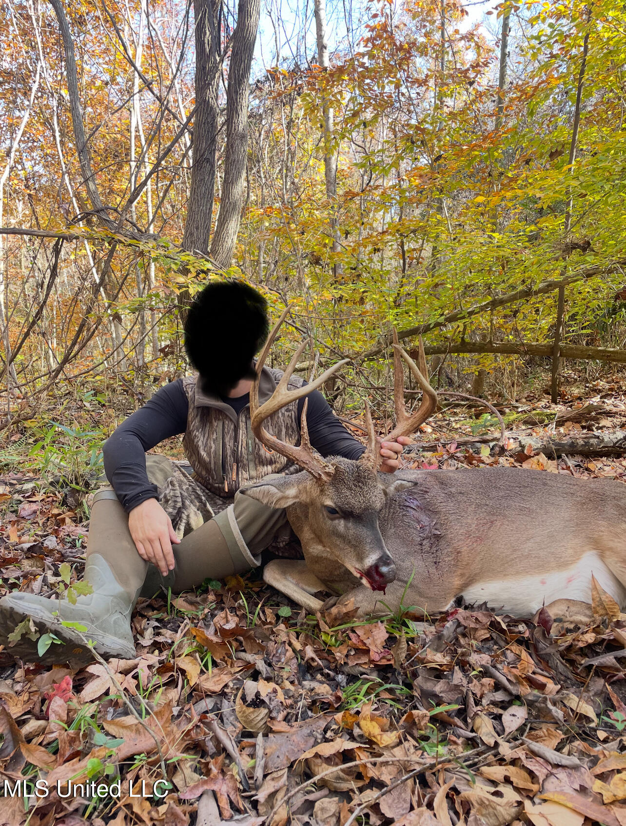 0 Warehouse Road Property Photo 41