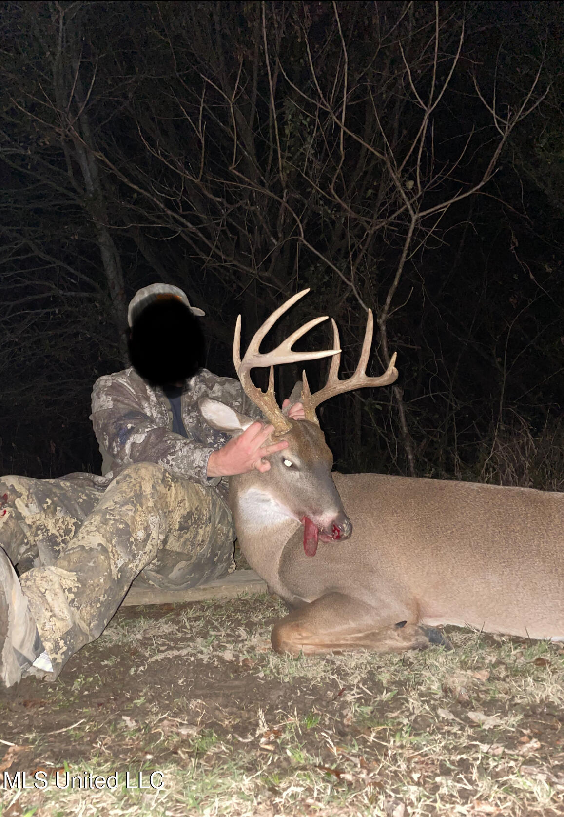 0 Warehouse Road Property Photo 42