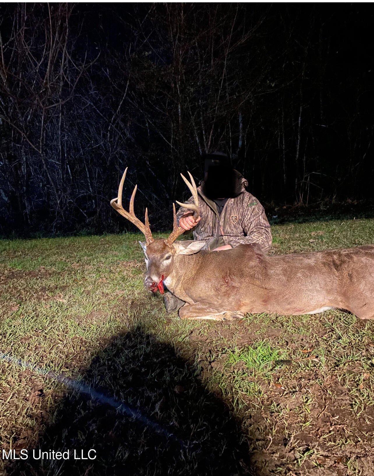 0 Warehouse Road Property Photo 43