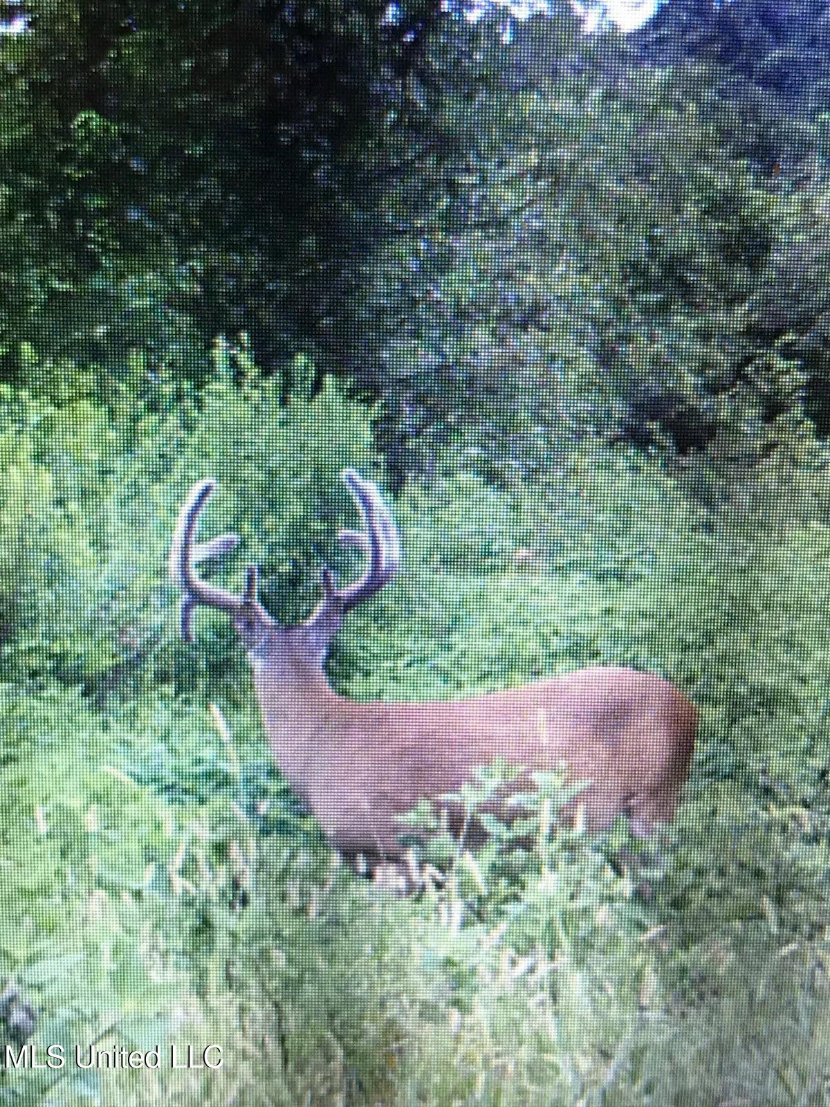 0 Warehouse Road Property Photo 44