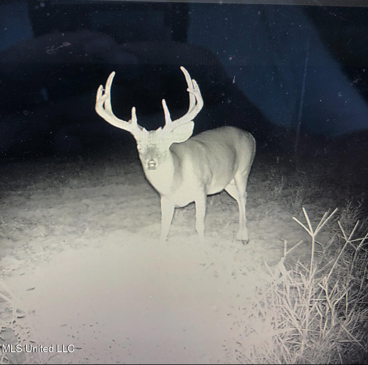 0 Warehouse Road Property Photo 45