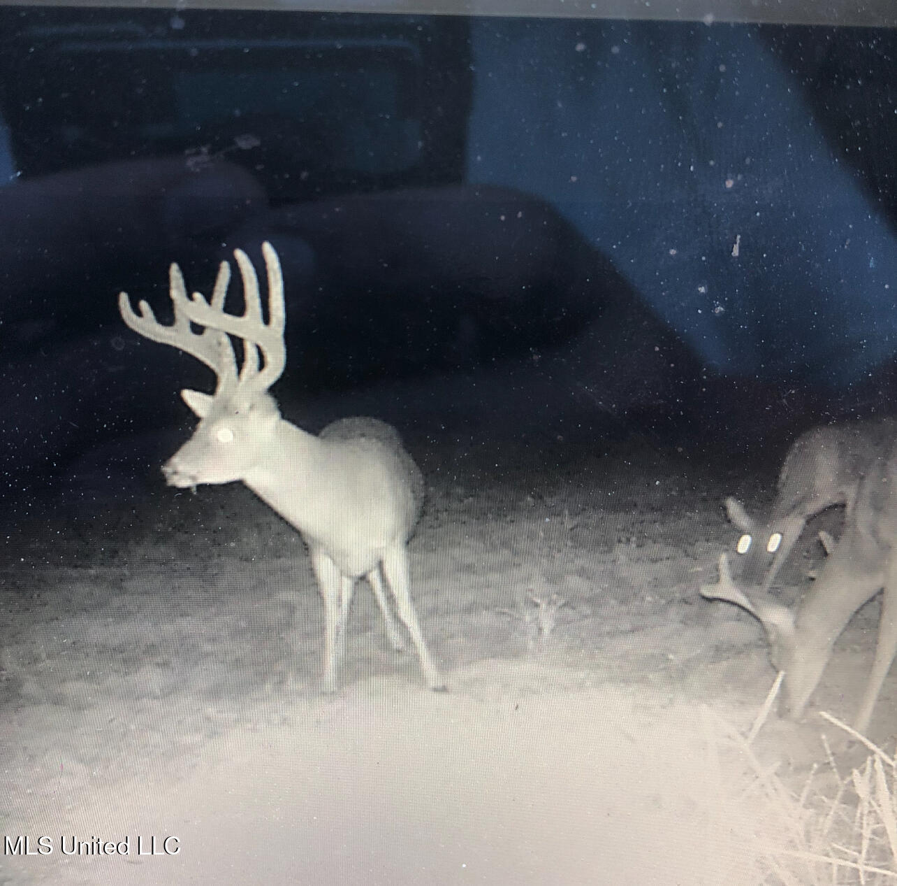 0 Warehouse Road Property Photo 46