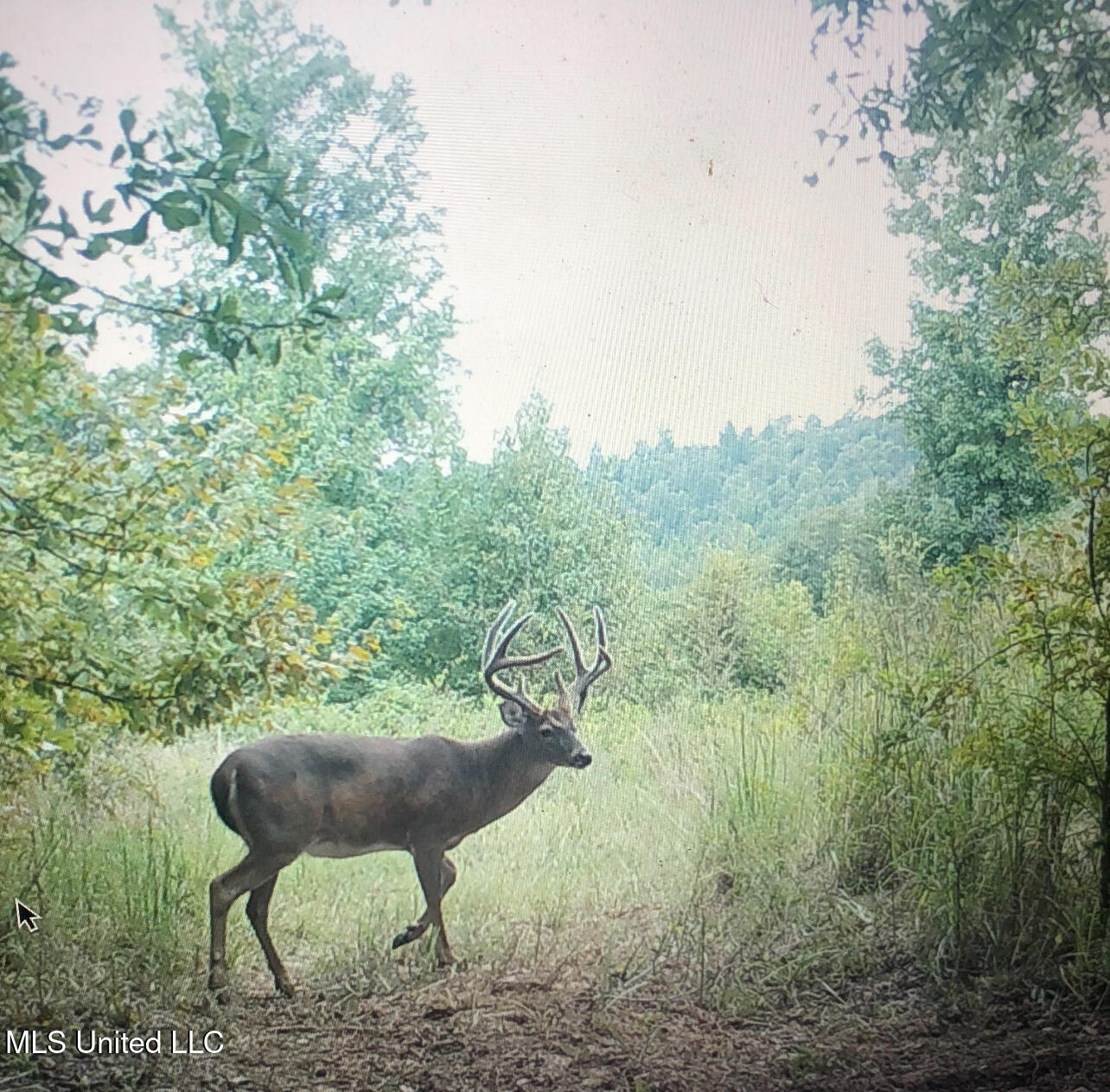 0 Warehouse Road Property Photo 47