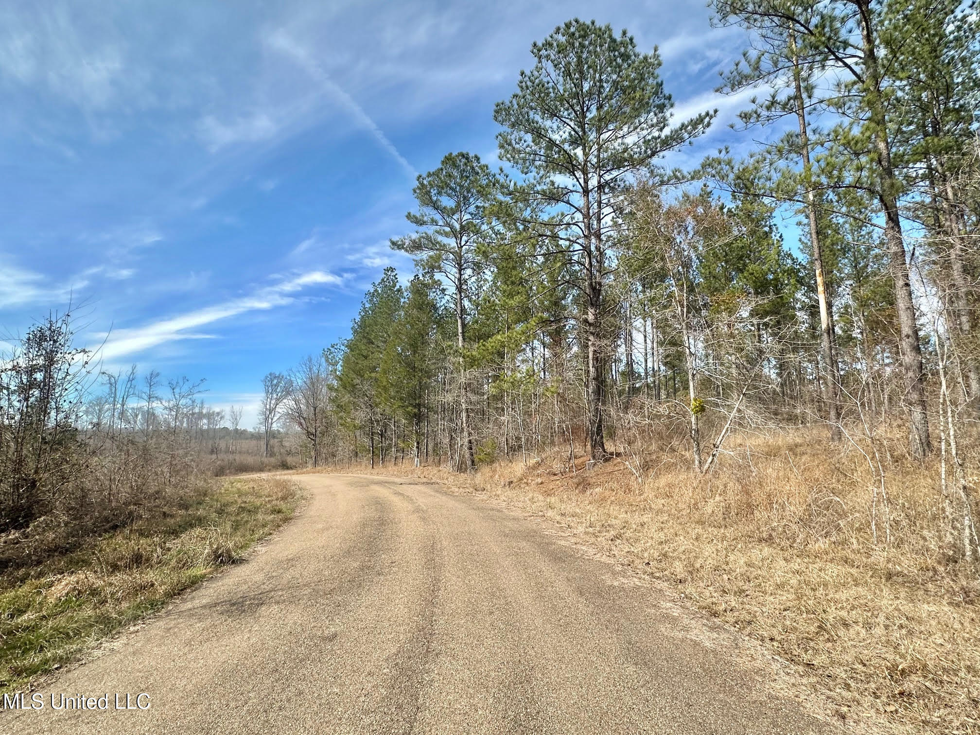 1 Prentiss Crump Road Property Photo 6