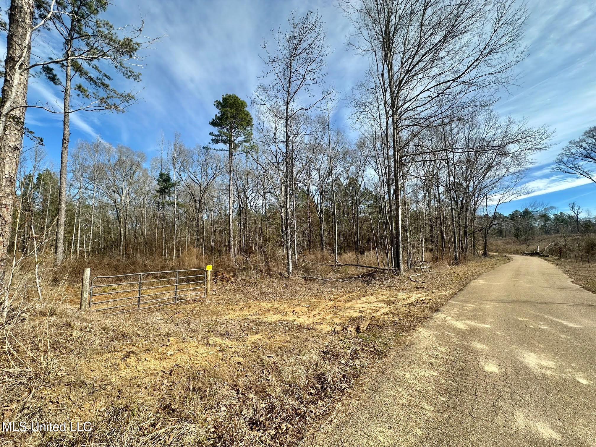 1 Prentiss Crump Road Property Photo 7
