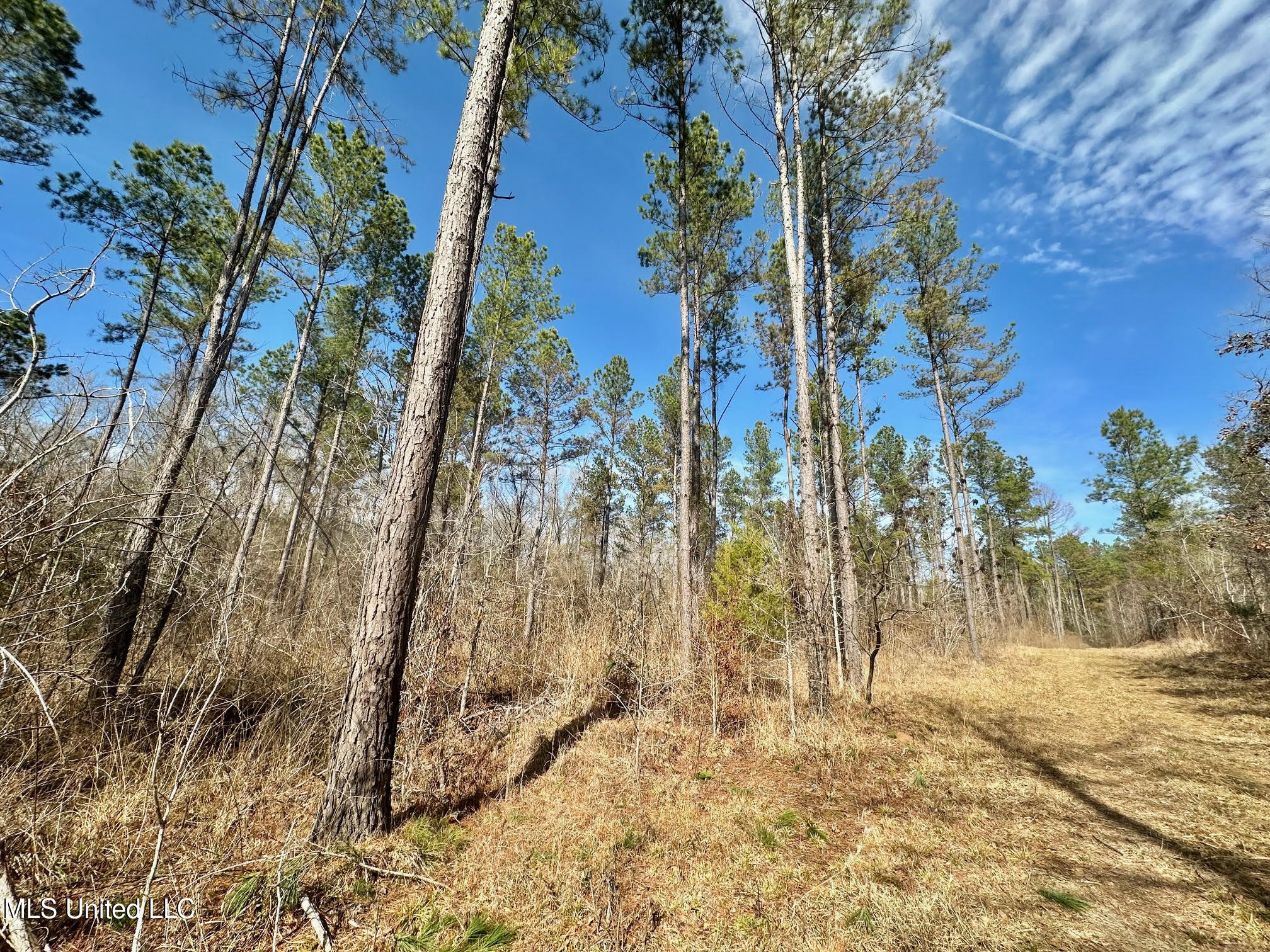 1 Prentiss Crump Road Property Photo 15