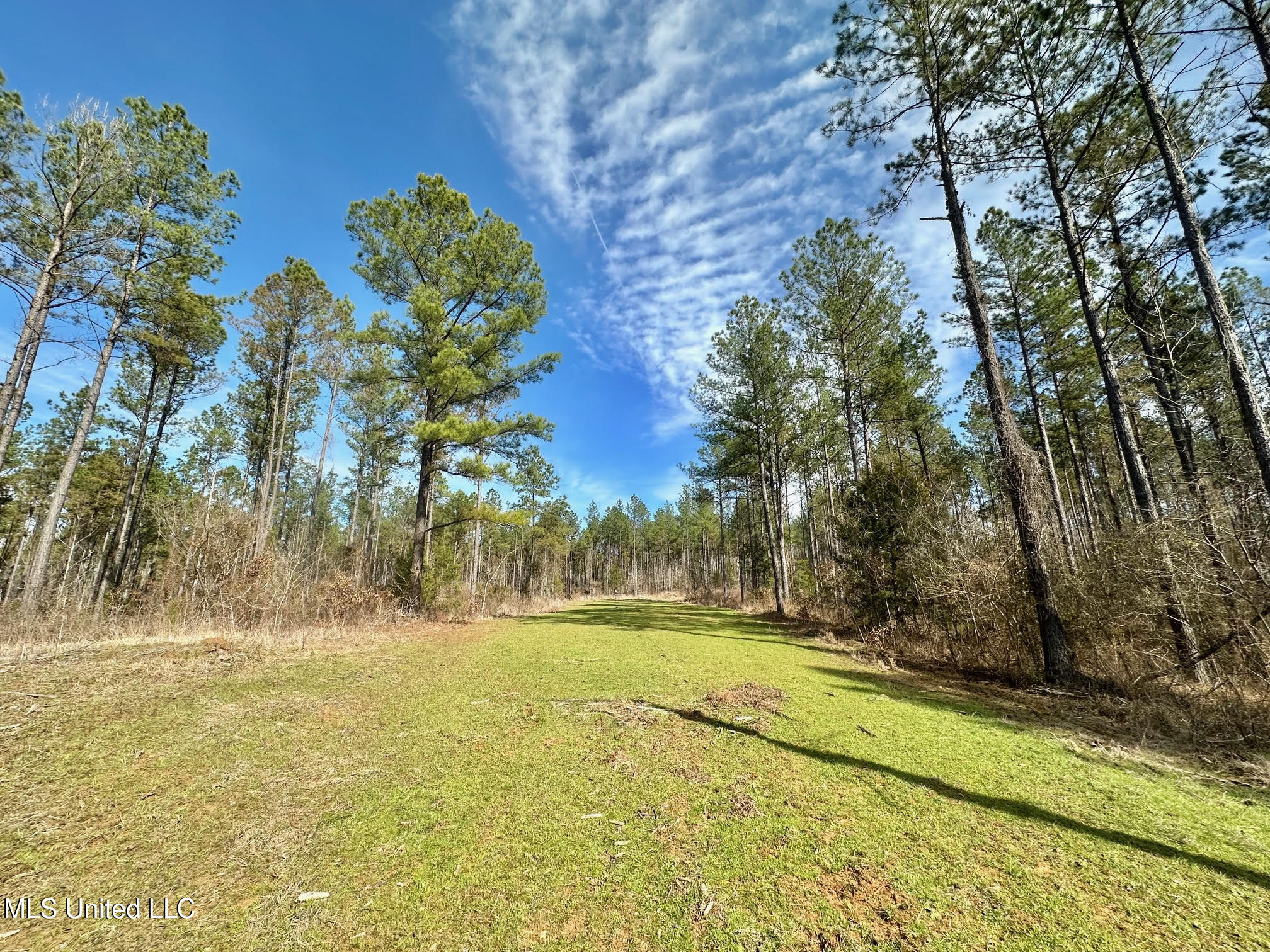 1 Prentiss Crump Road Property Photo 17