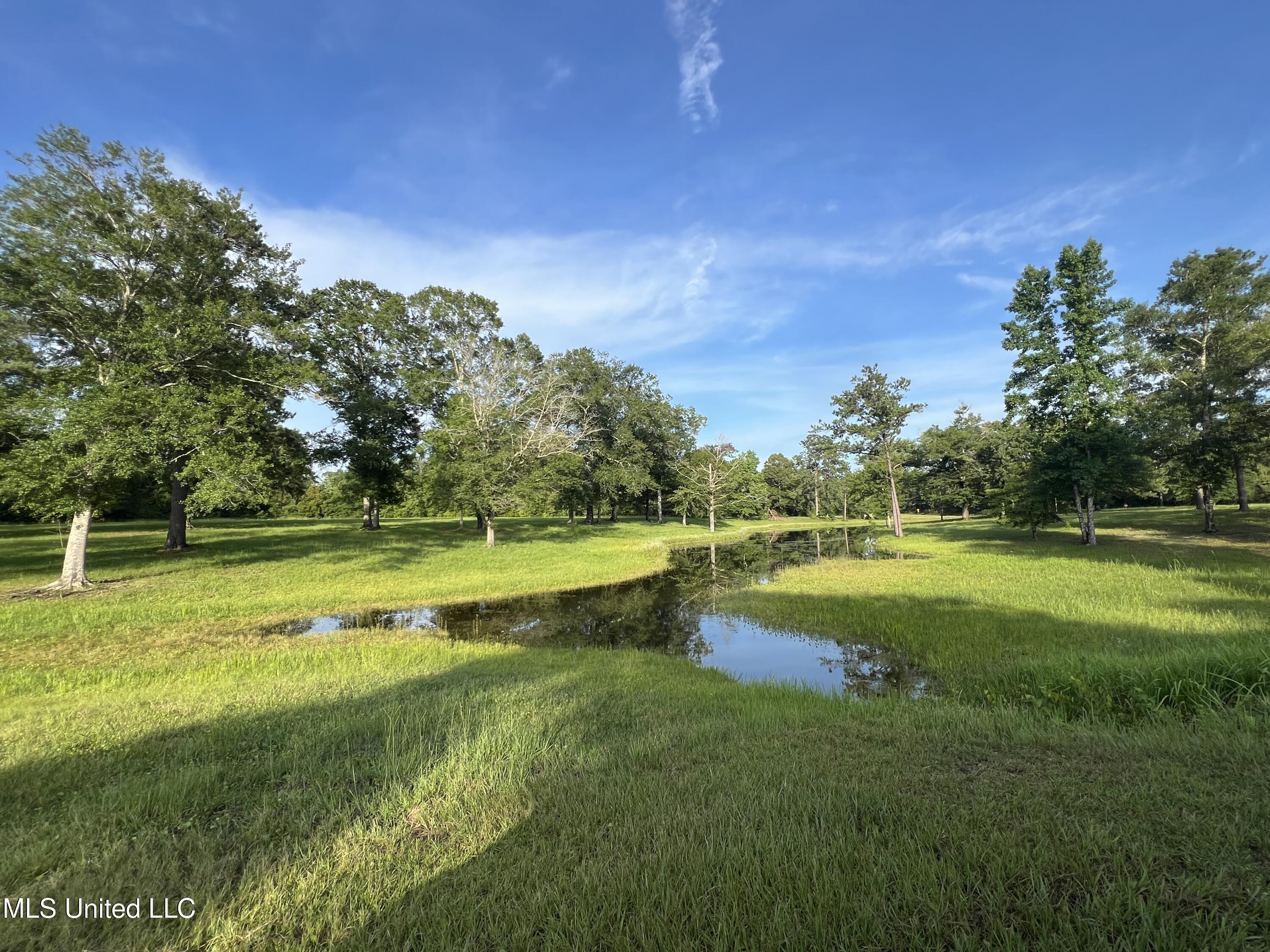 19589 Juniper Drive Property Photo 5