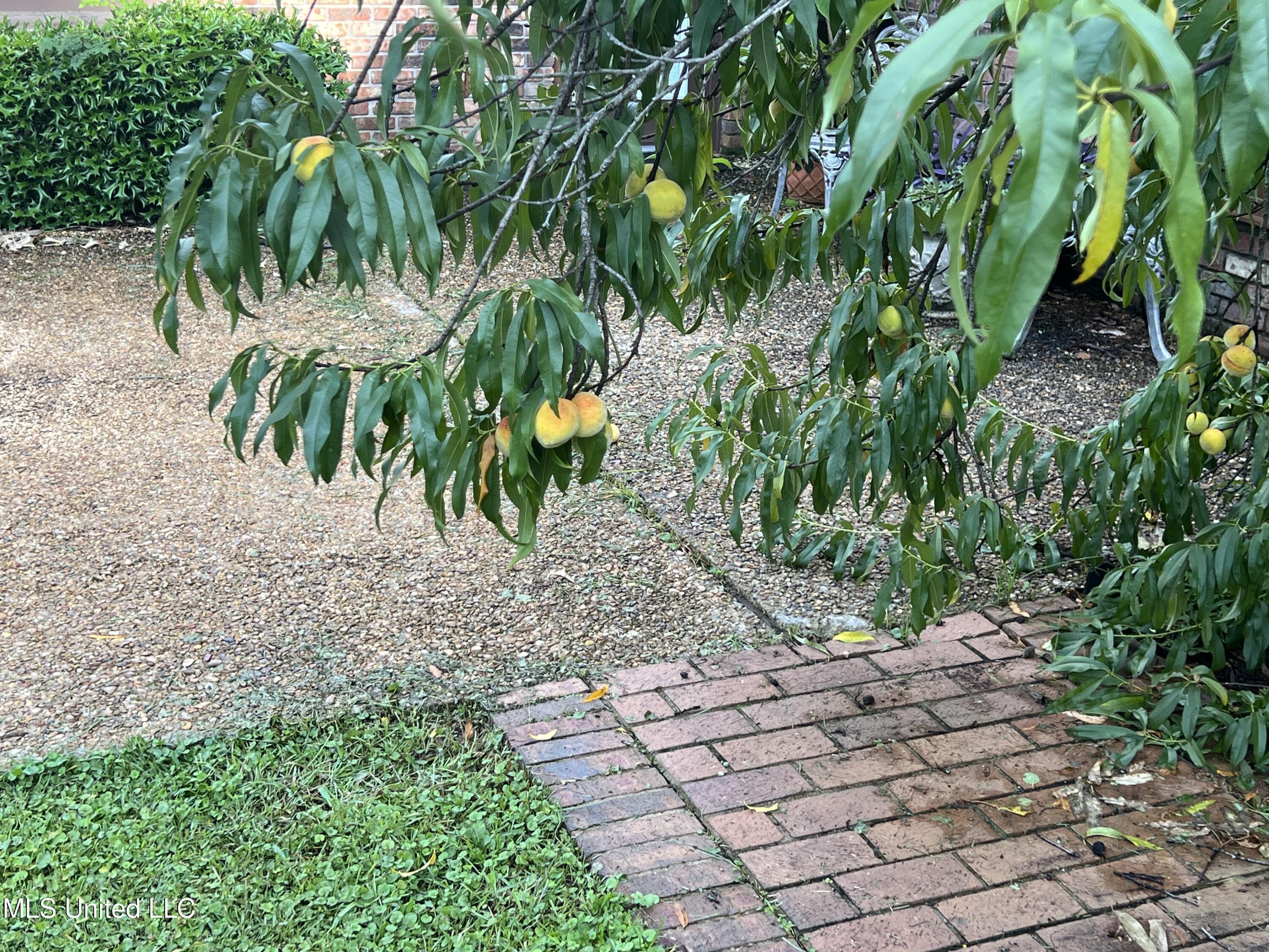 19589 Juniper Drive Property Photo 16