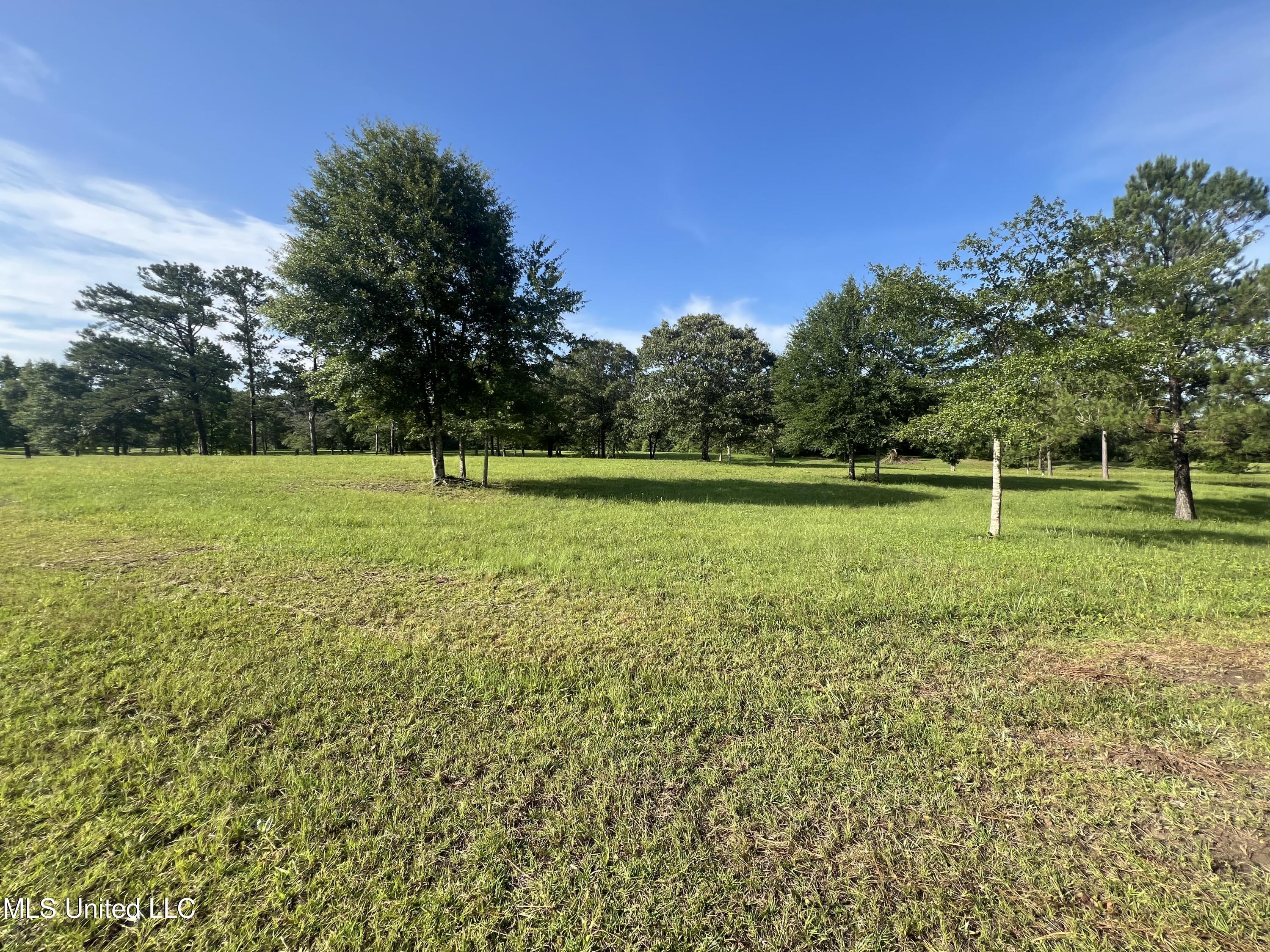 19589 Juniper Drive Property Photo 22