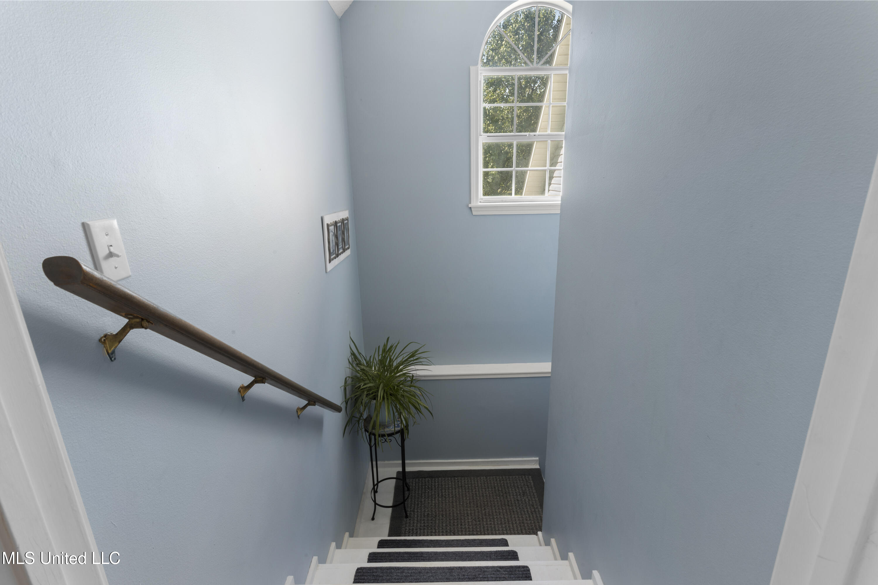 147 Blue Springs Road Property Photo 38