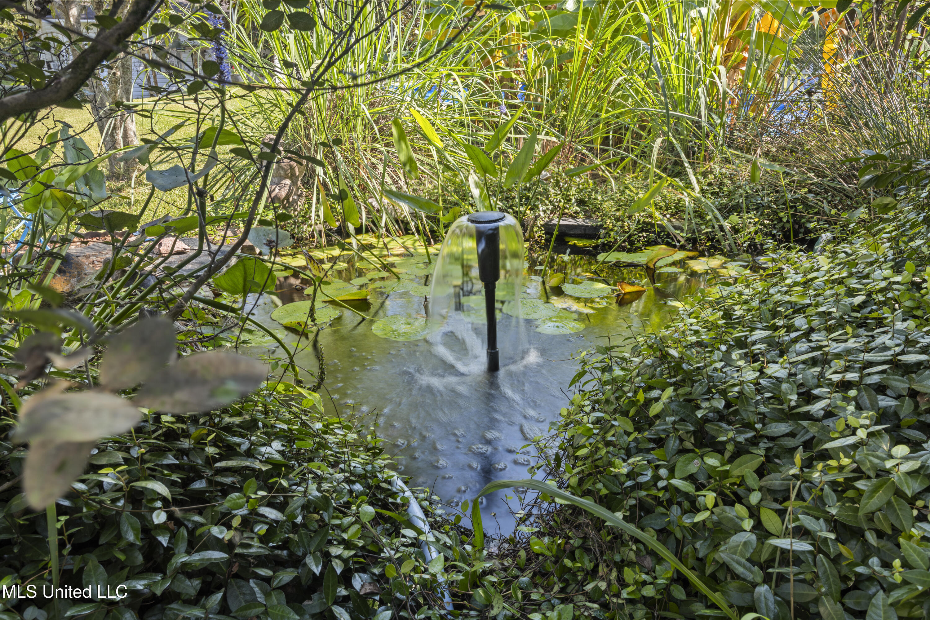 147 Blue Springs Road Property Photo 61