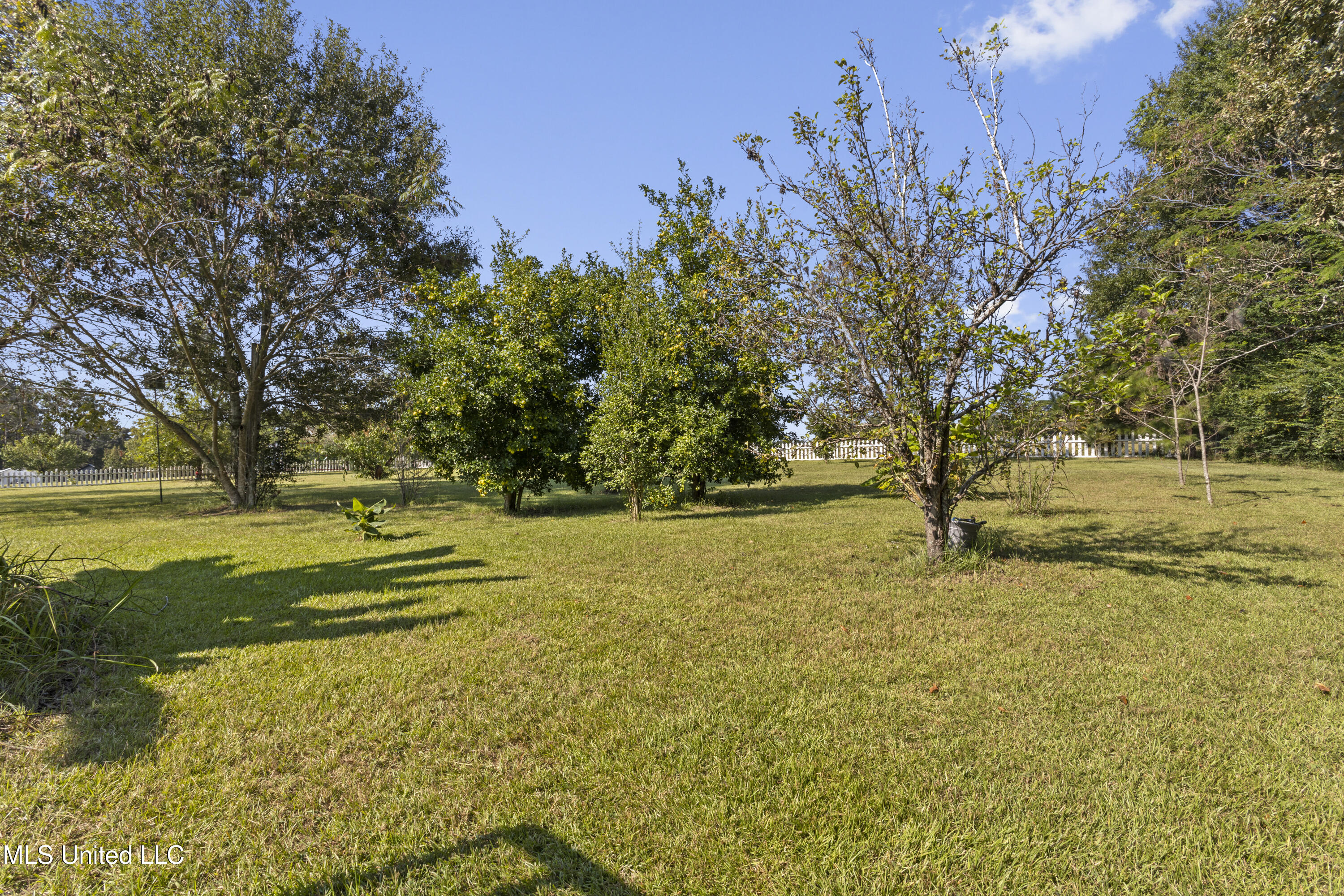 147 Blue Springs Road Property Photo 70