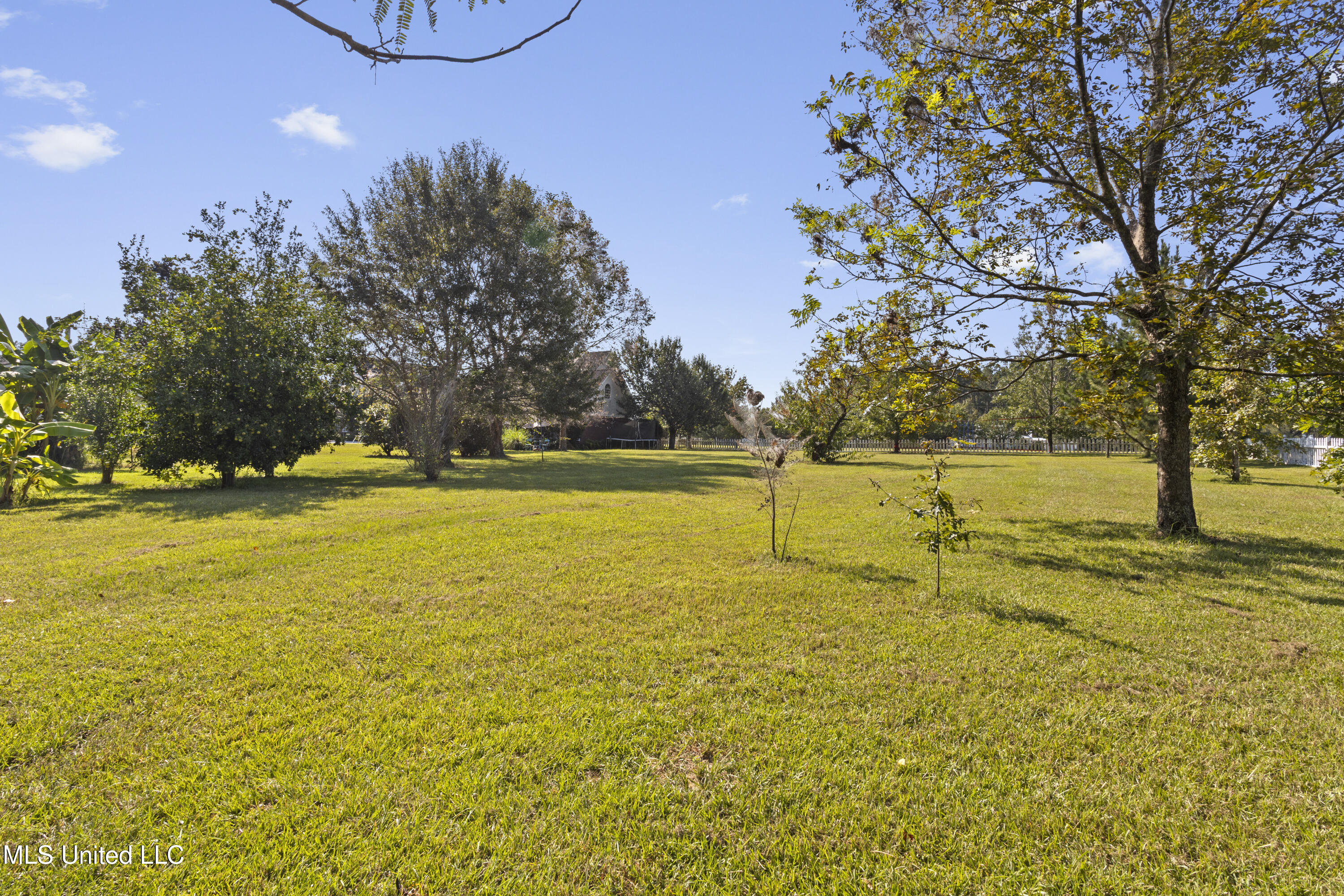 147 Blue Springs Road Property Photo 71