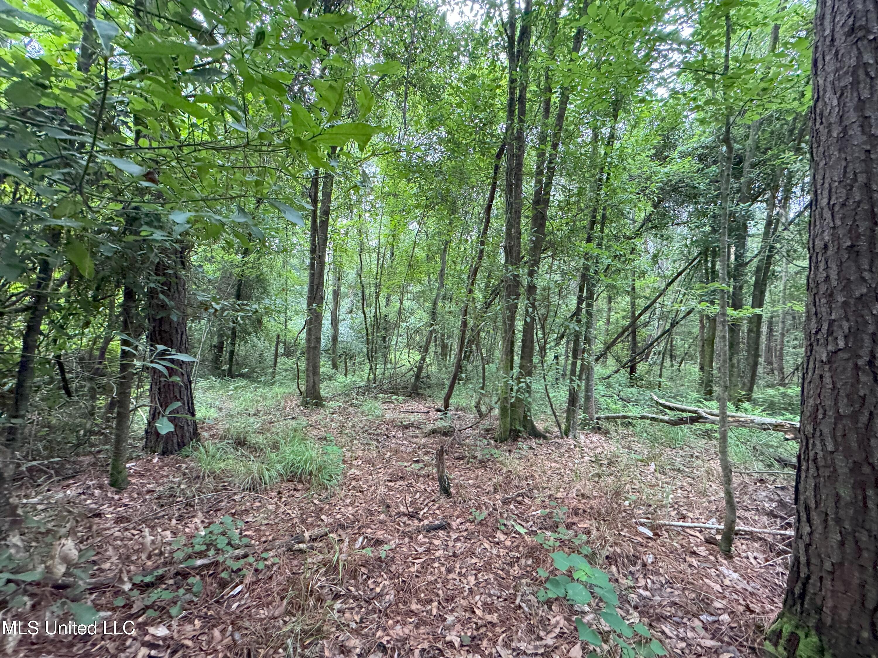 0-cdt5 Louisiana Highway 442 Property Photo 3