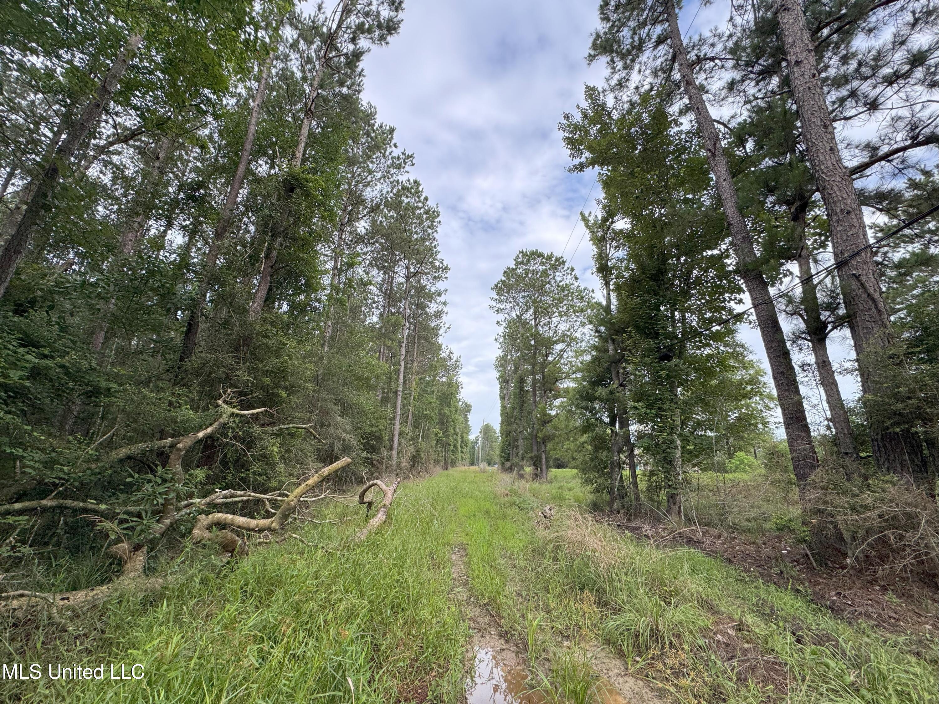 0-cdt5 Louisiana Highway 442 Property Photo 5