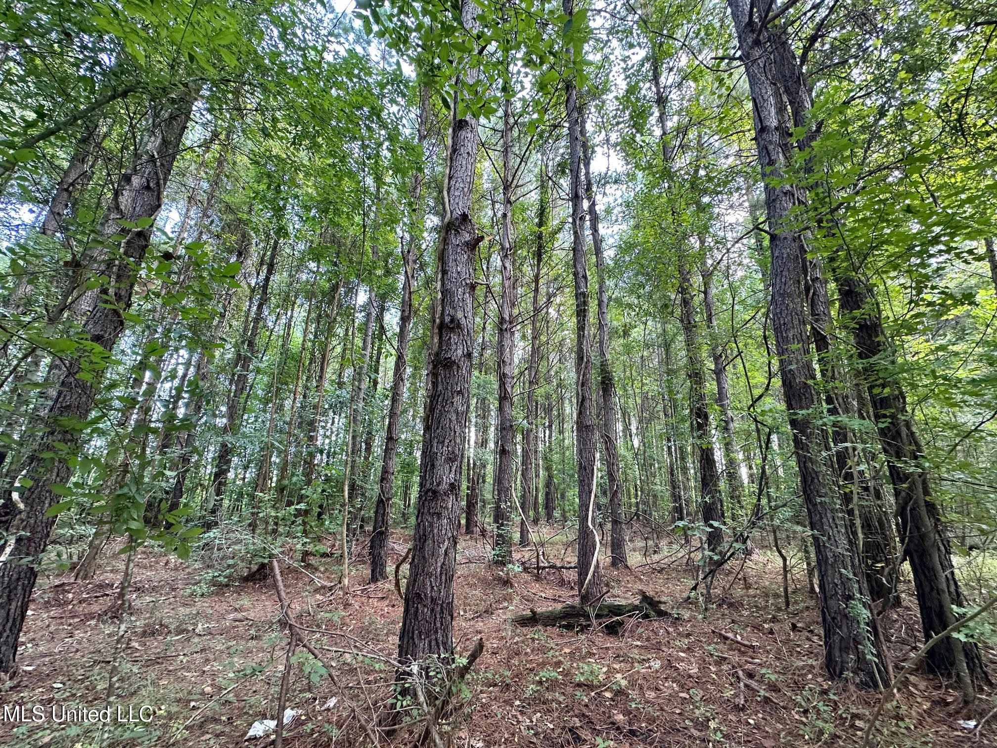 4 Prentiss Crump Road Property Photo 1